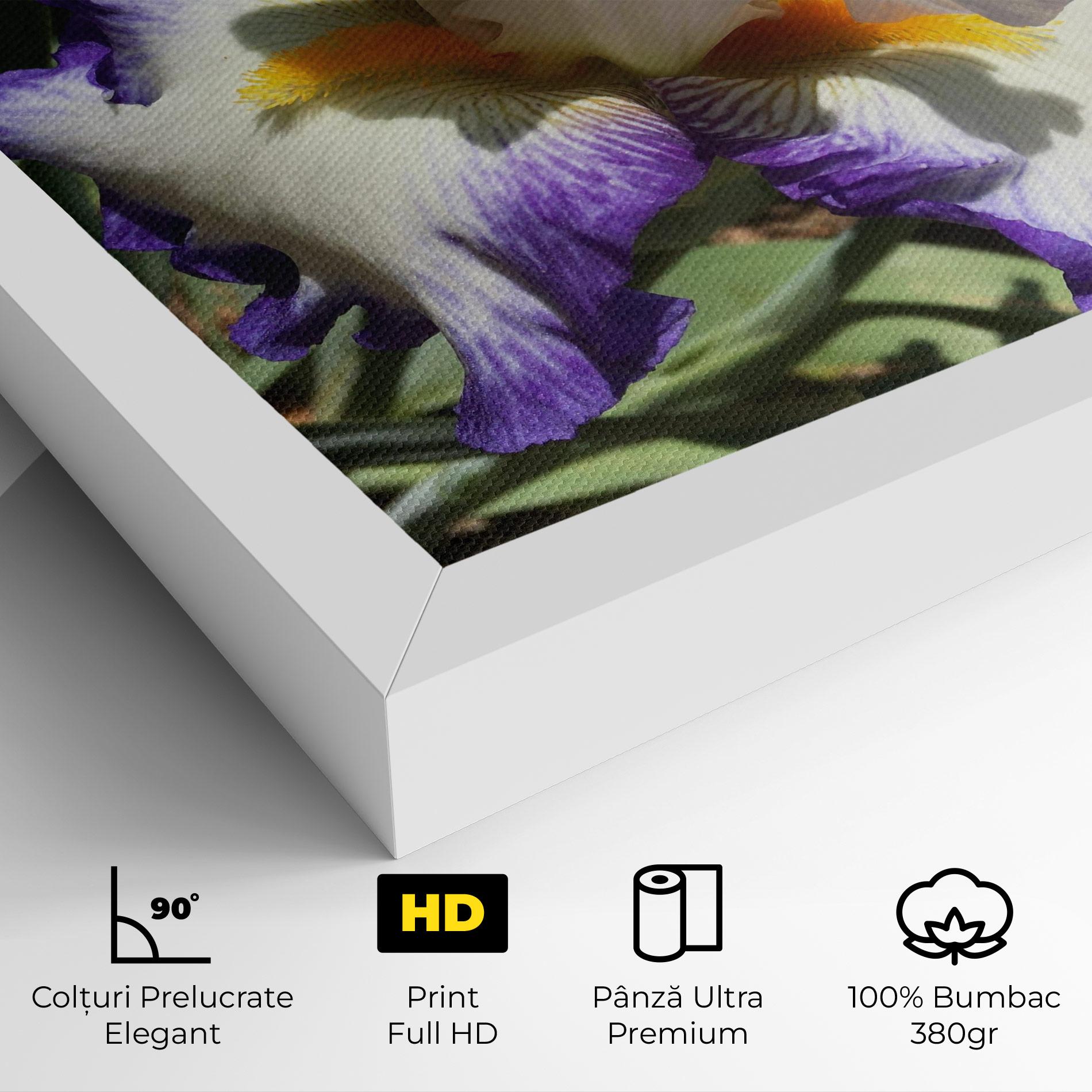 Tablou Canvas Garden White Purple Irirs mockup 4