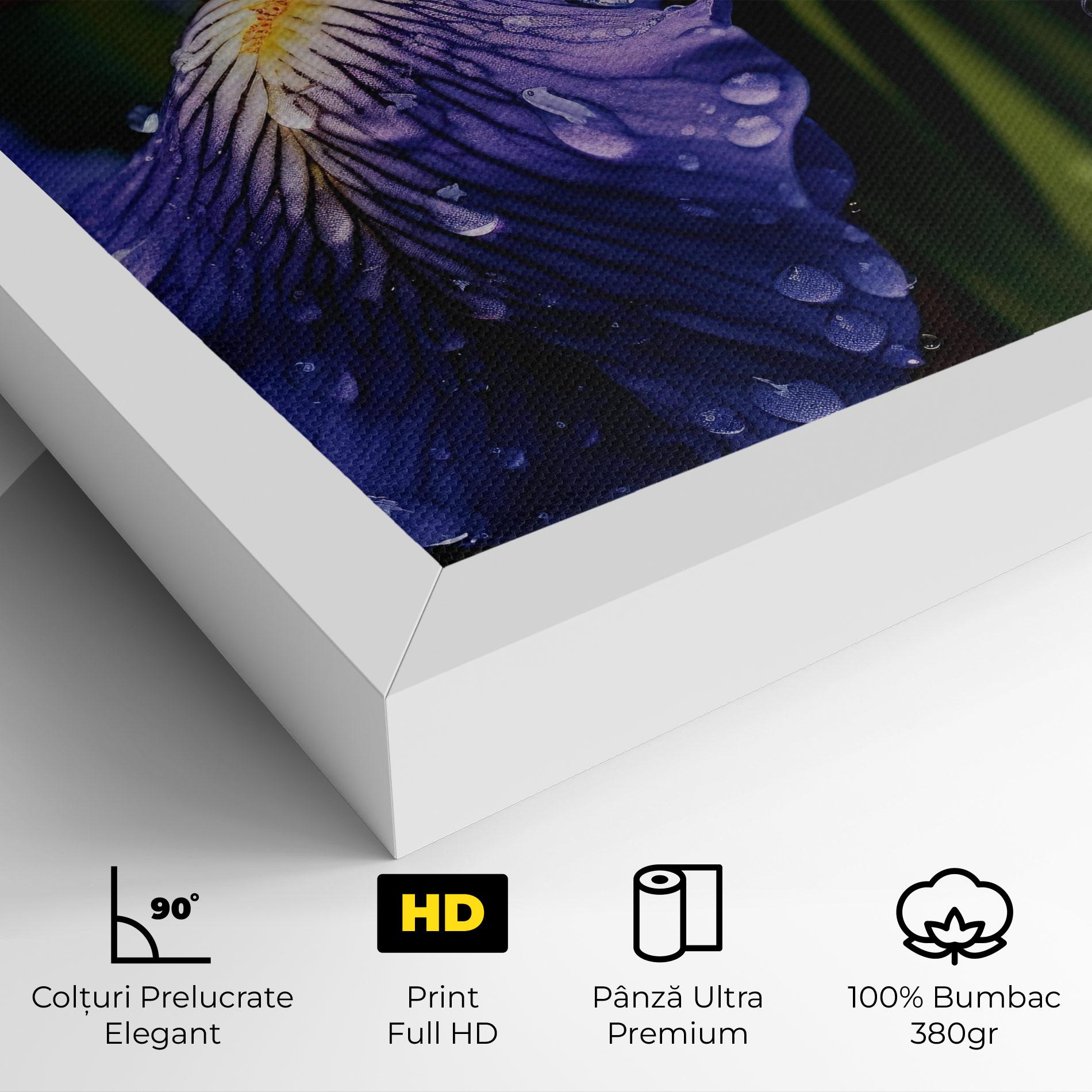 Tablou Canvas Iris After Rain mockup 4