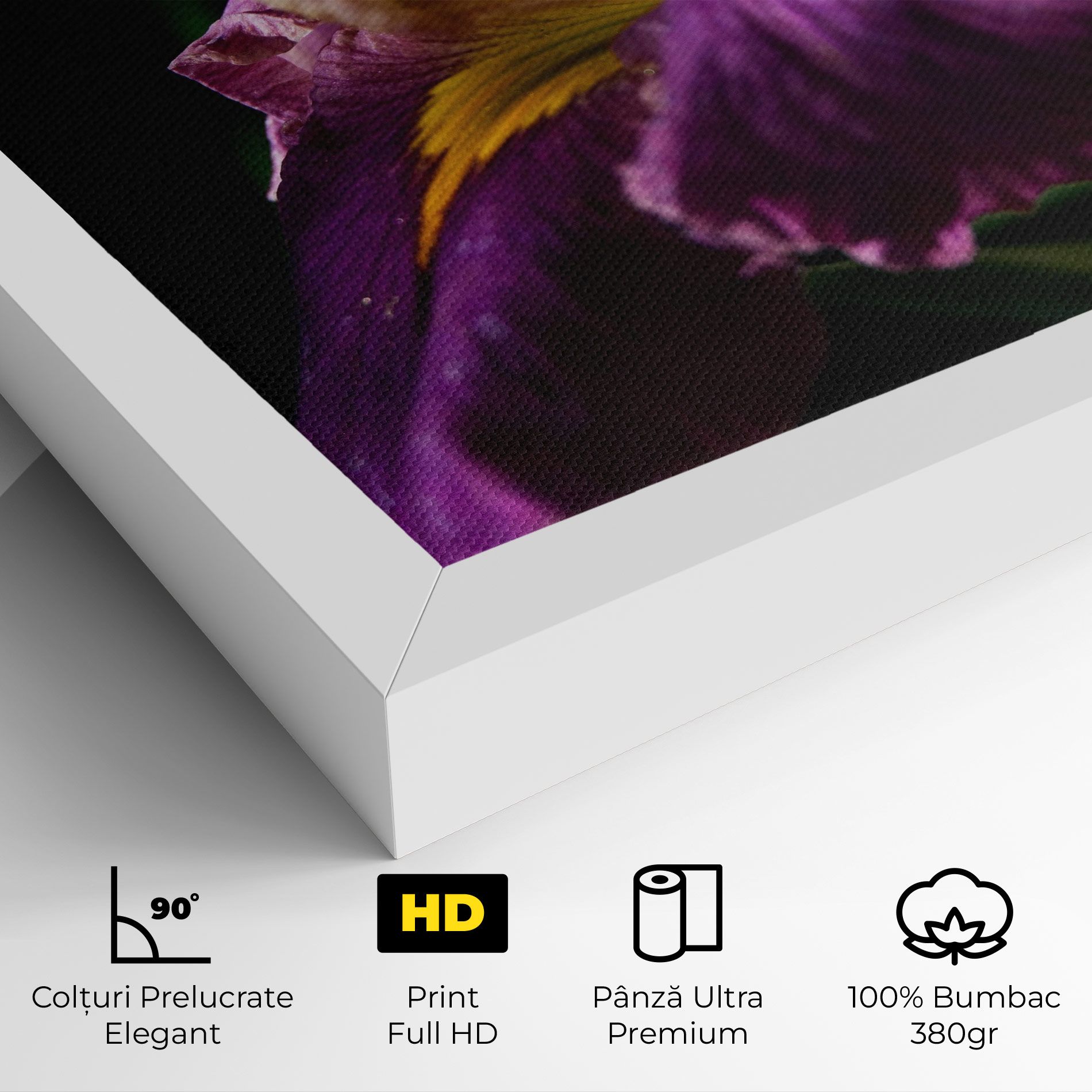 Pastel Yellow Iris mockup 4