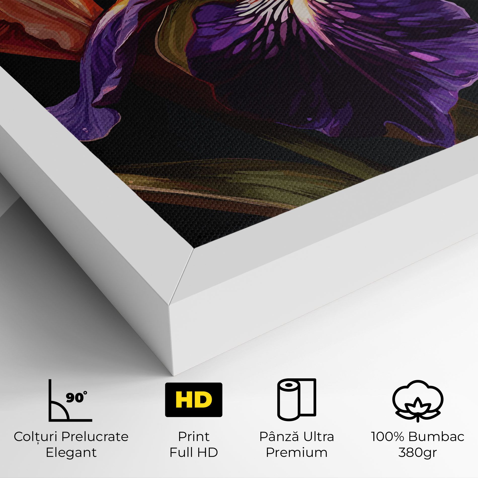 Purple Orange Iris mockup 4