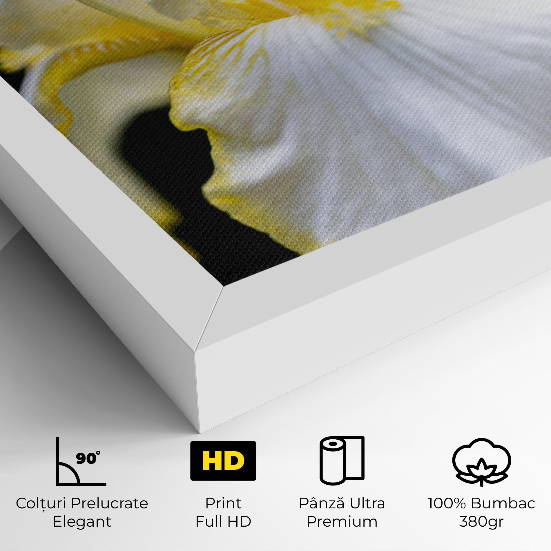 White Yellow Iris mockup 4
