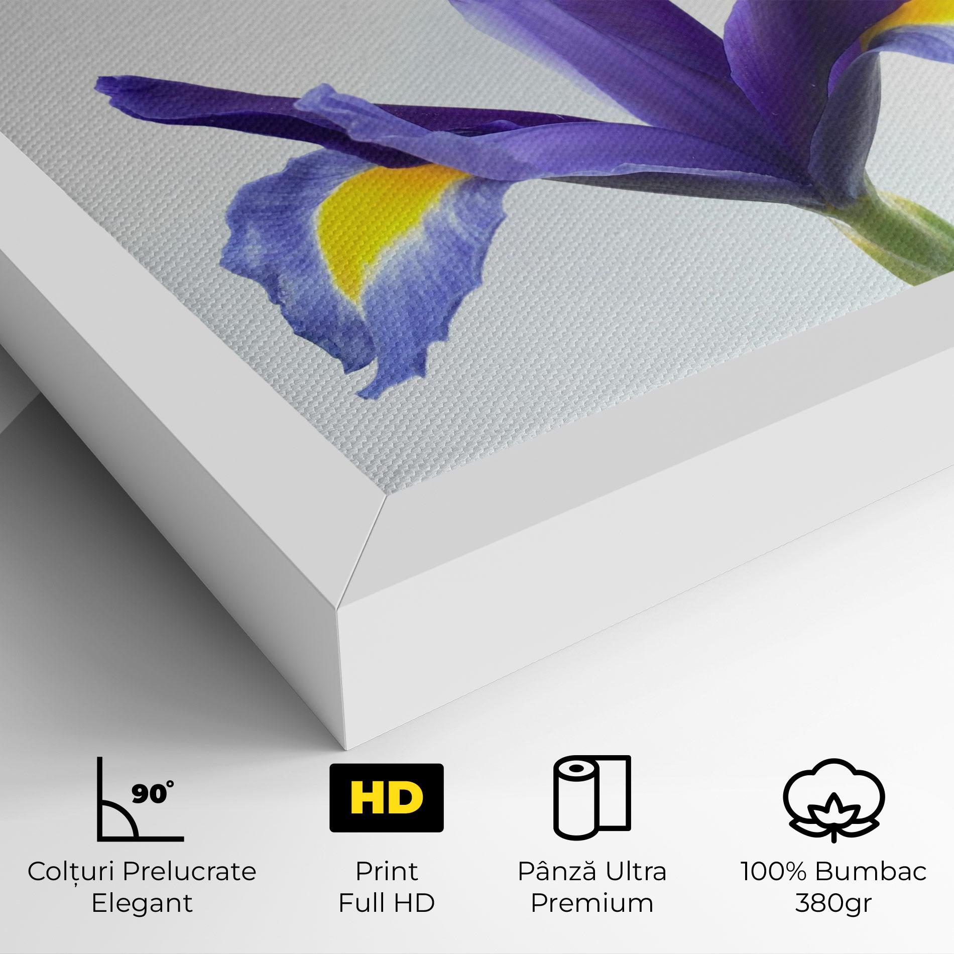 Tablou Canvas Yellow Color Iris mockup 4