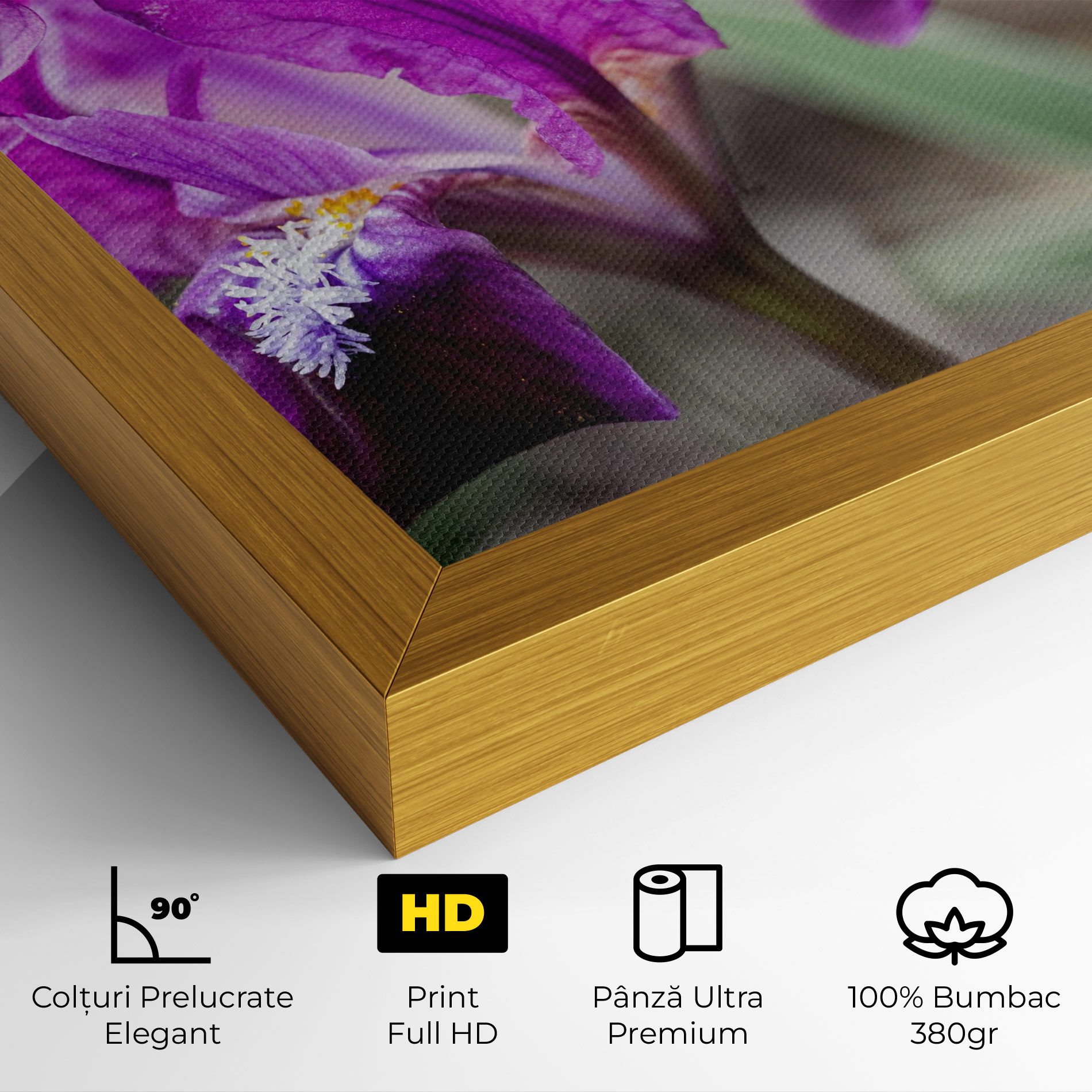 Dark Pink Iris mockup 4