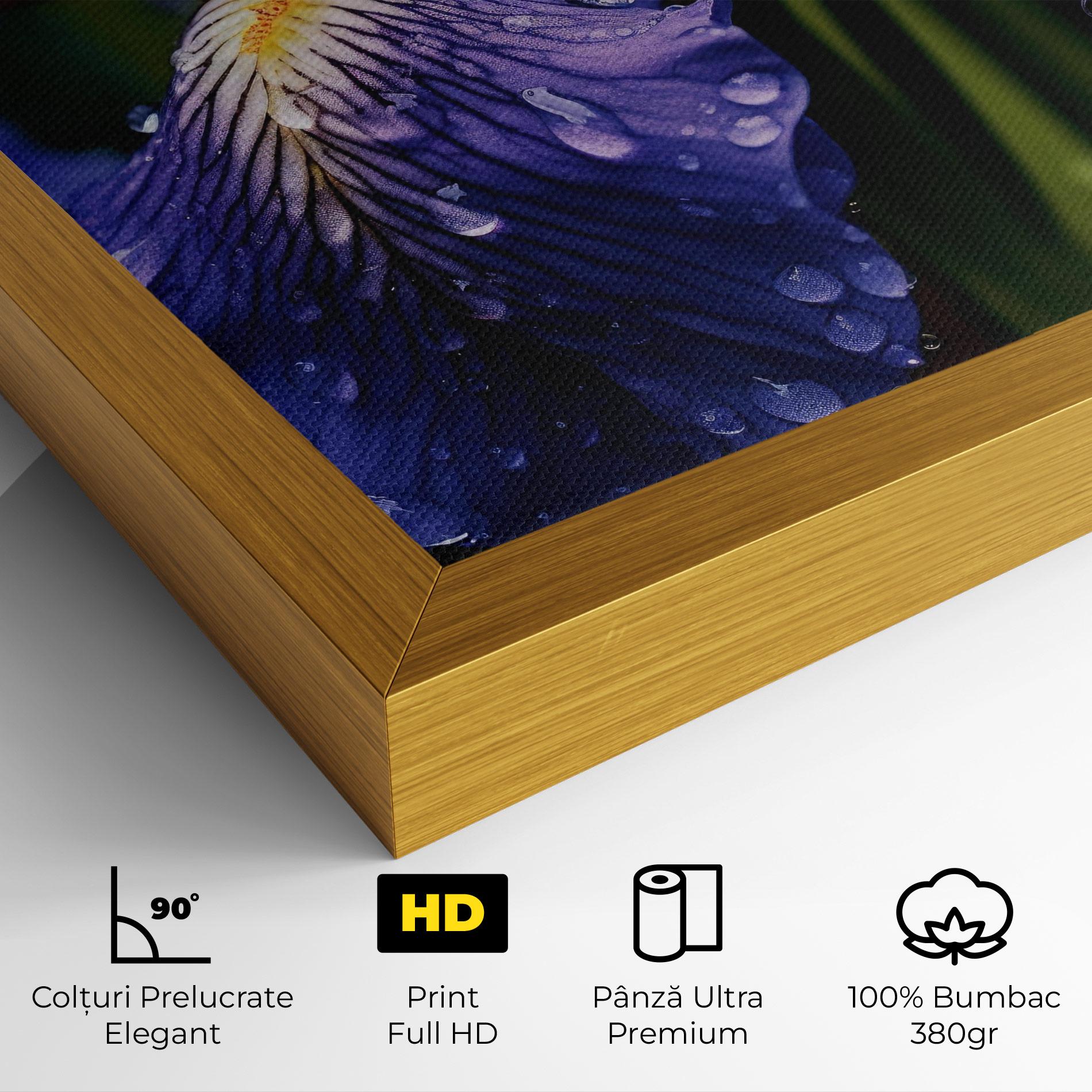 Tablou Canvas Iris After Rain mockup 4