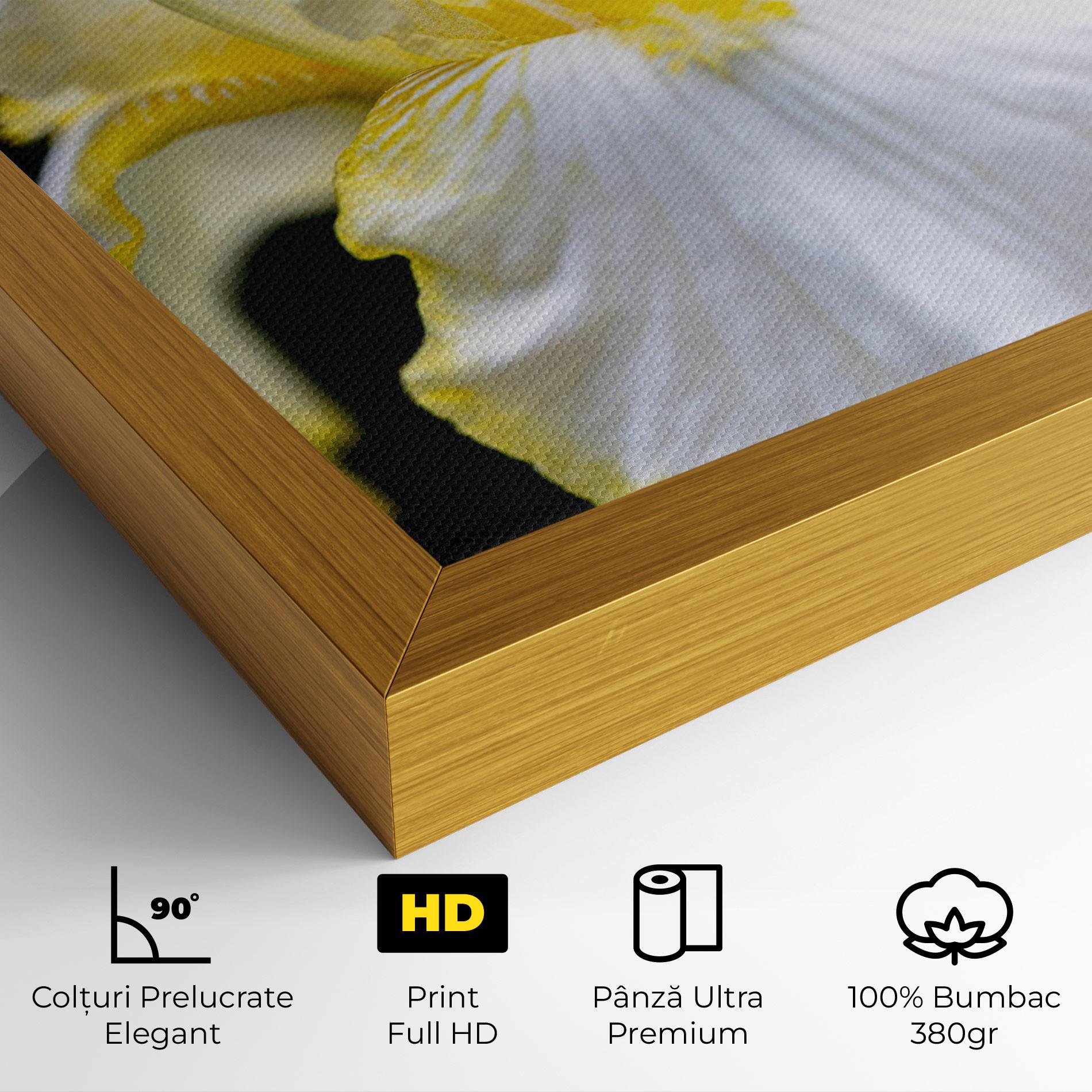 Tablou Canvas White Yellow Iris mockup 4