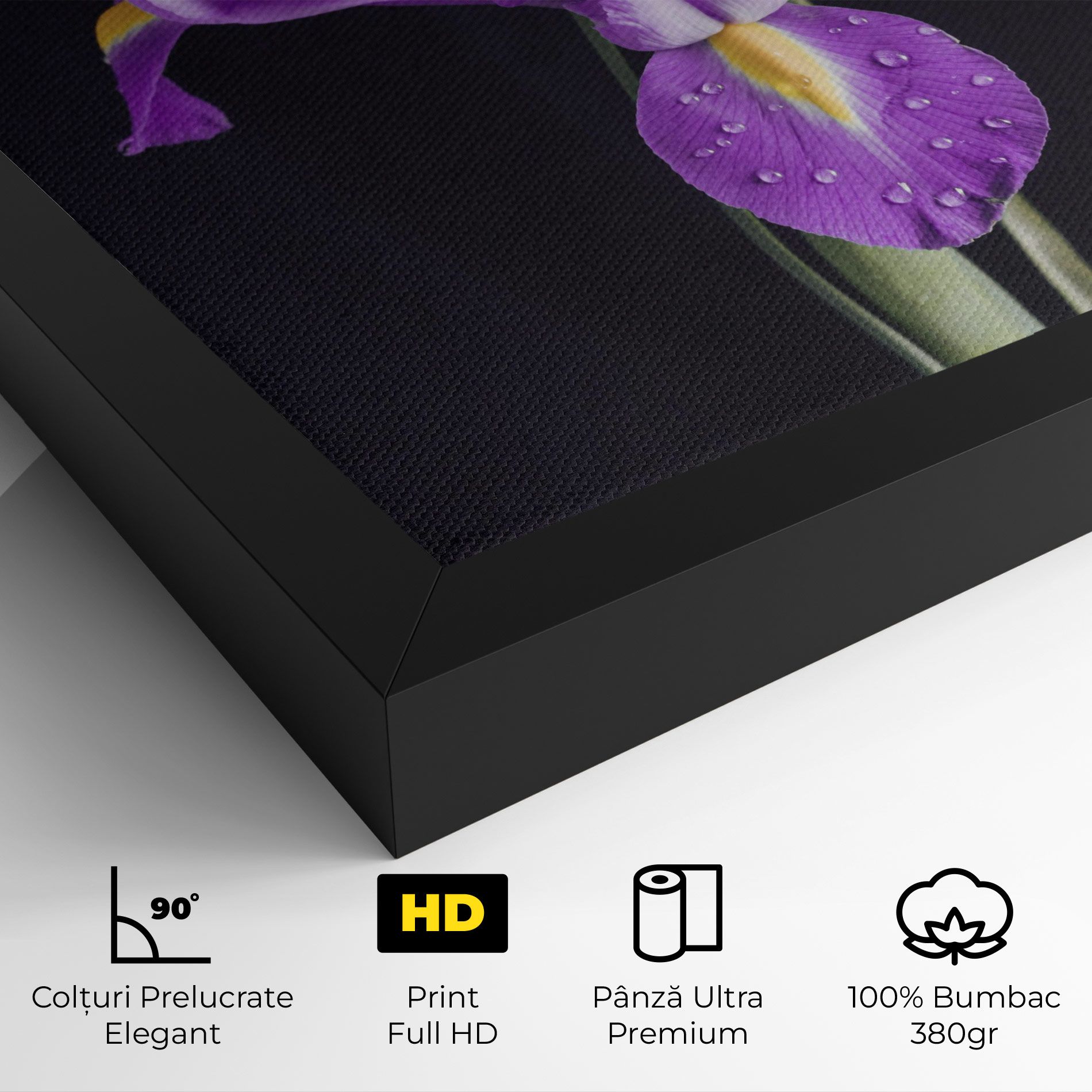 Fresh Purple Iris mockup 4