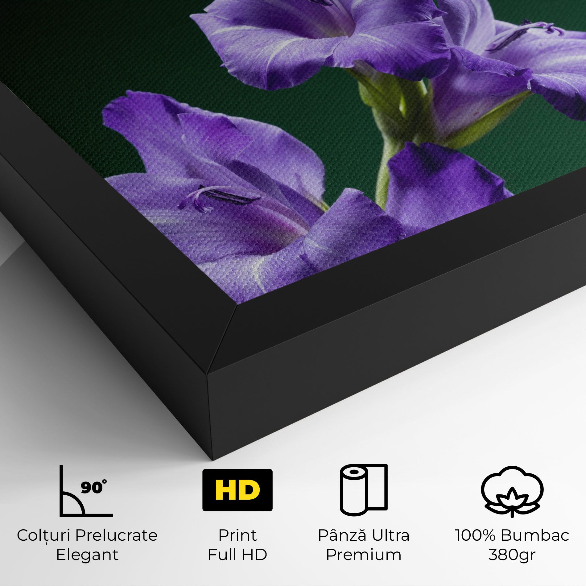 Iris On Green mockup 4