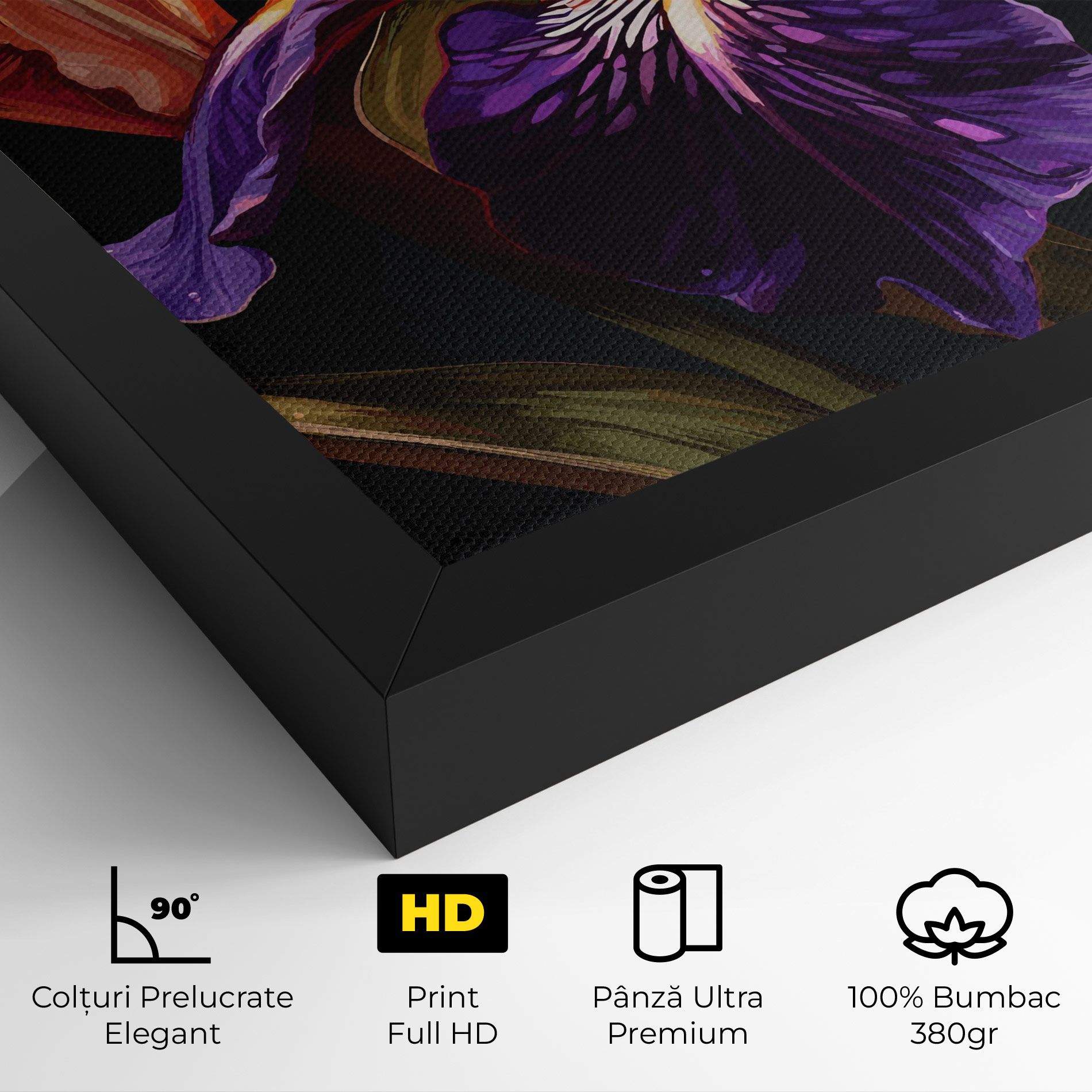 Purple Orange Iris mockup 4
