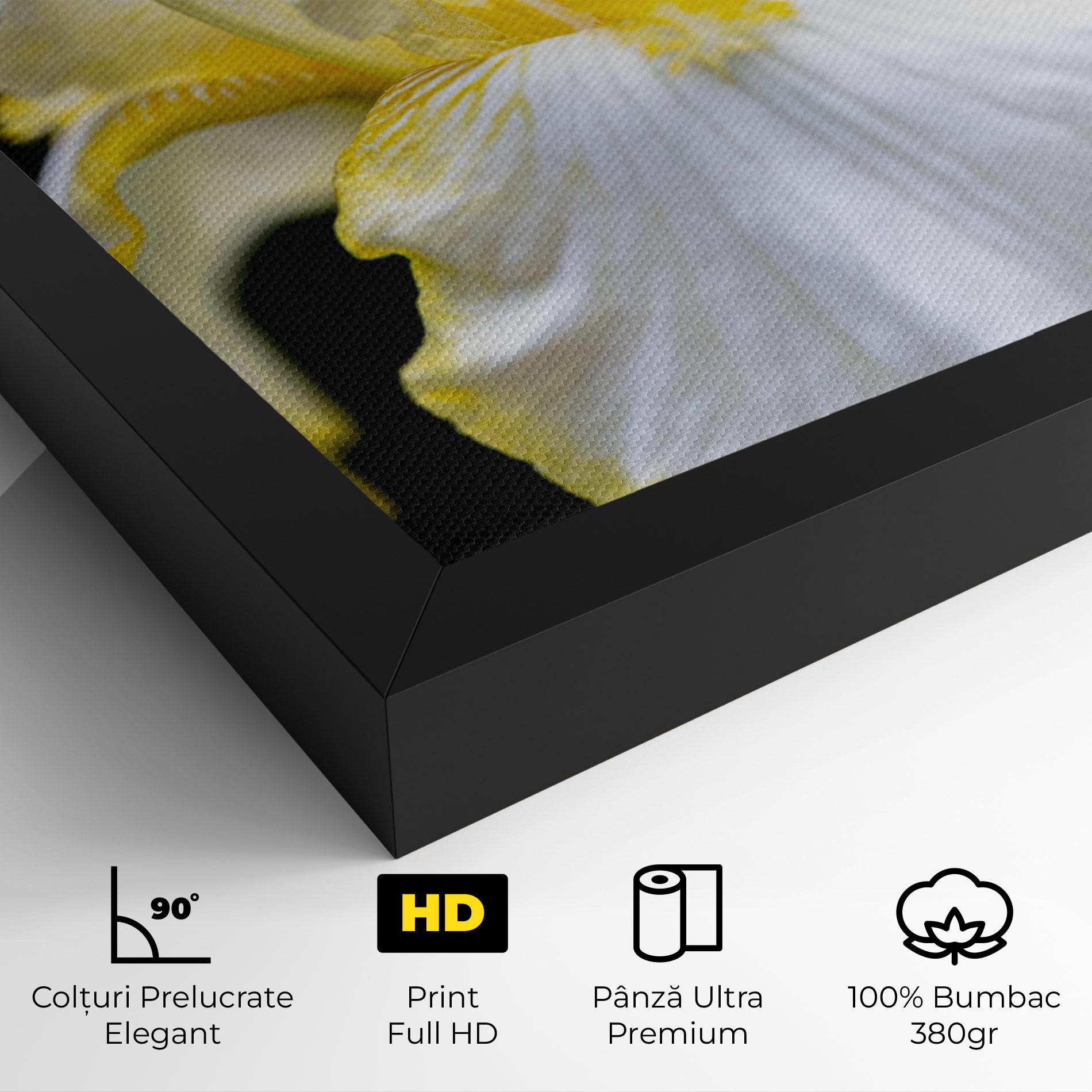 Tablou Canvas White Yellow Iris mockup 4
