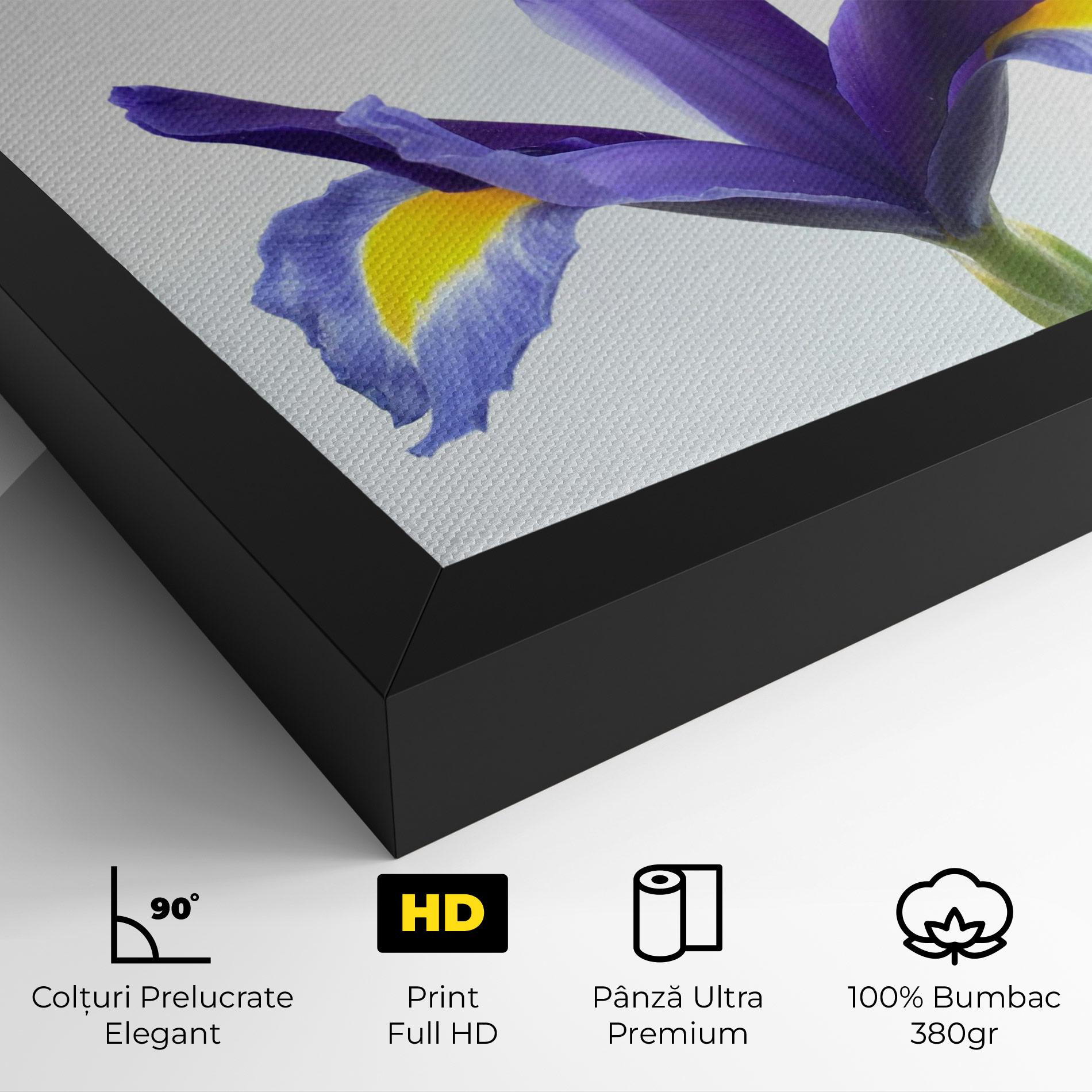Tablou Canvas Yellow Color Iris mockup 4