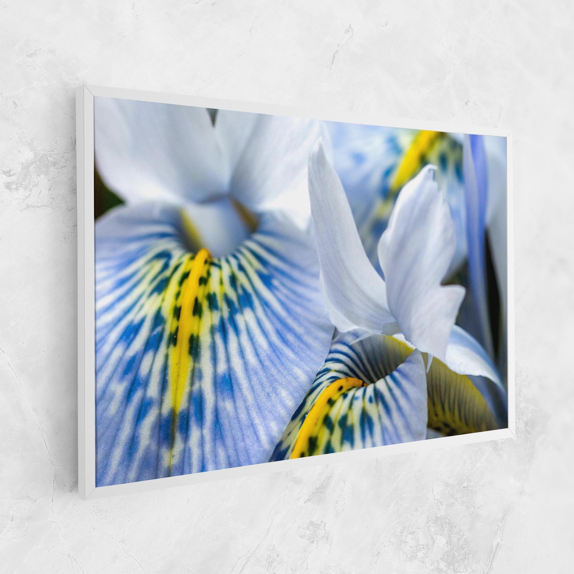 Tablou Canvas Blue Yellow Iris mockup 1