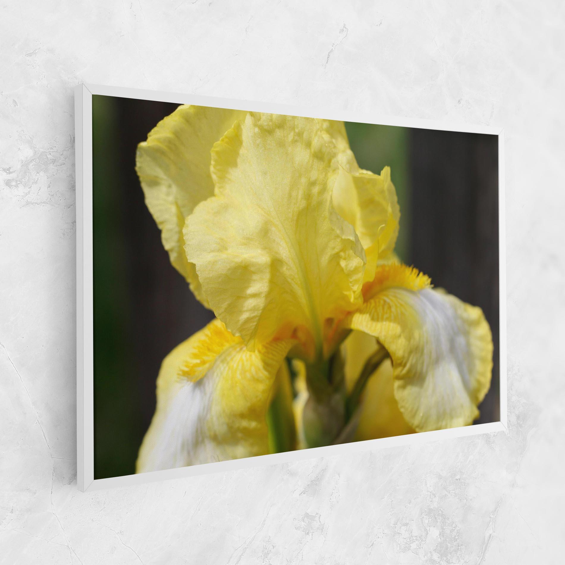 Tablou Canvas Garden Yellow Iris mockup 1