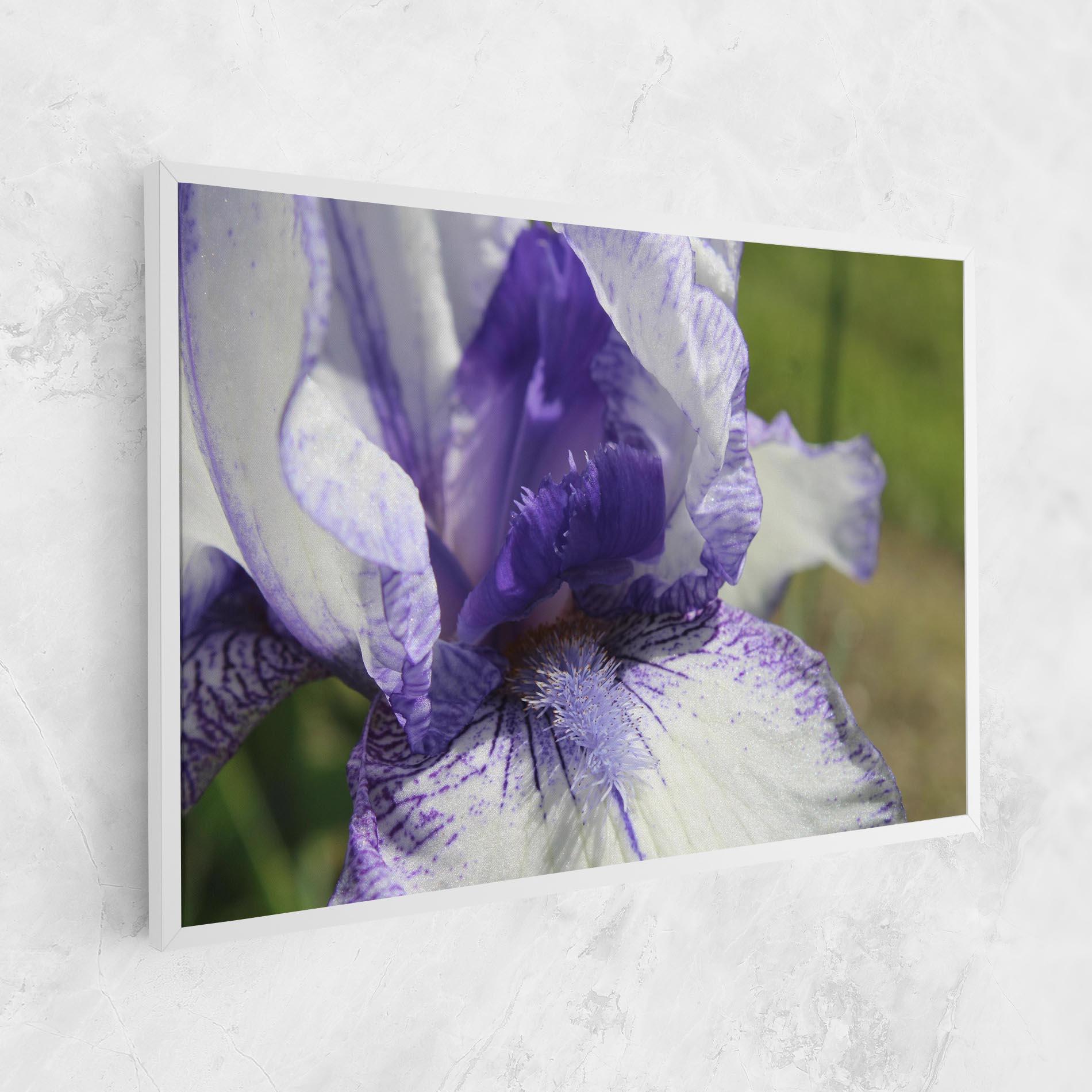 Tablou Canvas White Purple Iris mockup 1