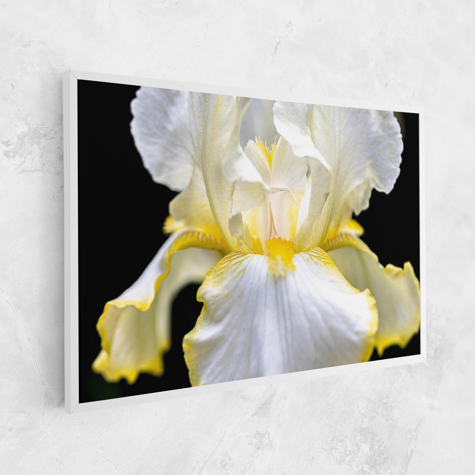 Tablou Canvas White Yellow Iris mockup 1