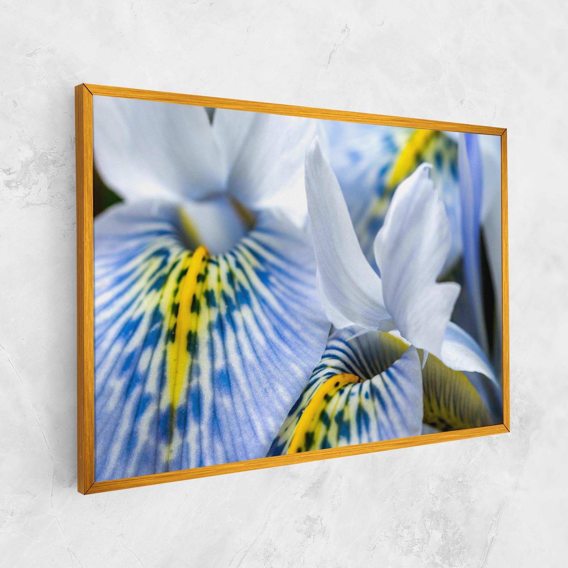 Tablou Canvas Blue Yellow Iris mockup 1