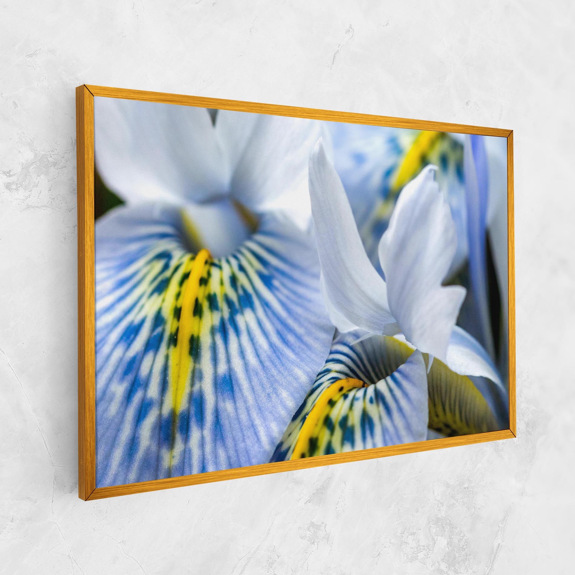 Blue Yellow Iris mockup 1