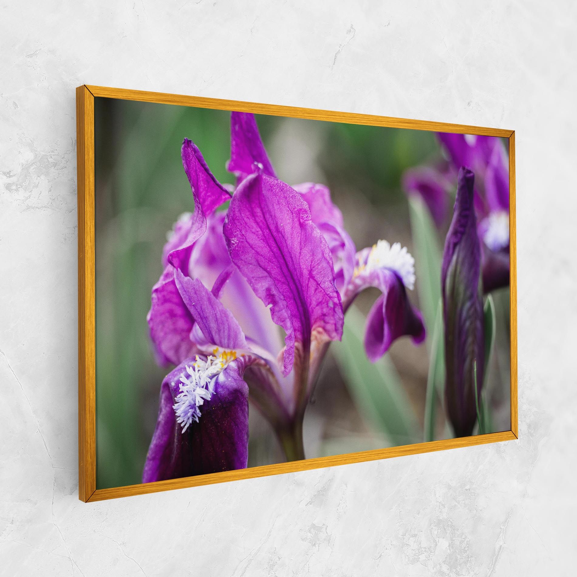 Dark Pink Iris mockup 1