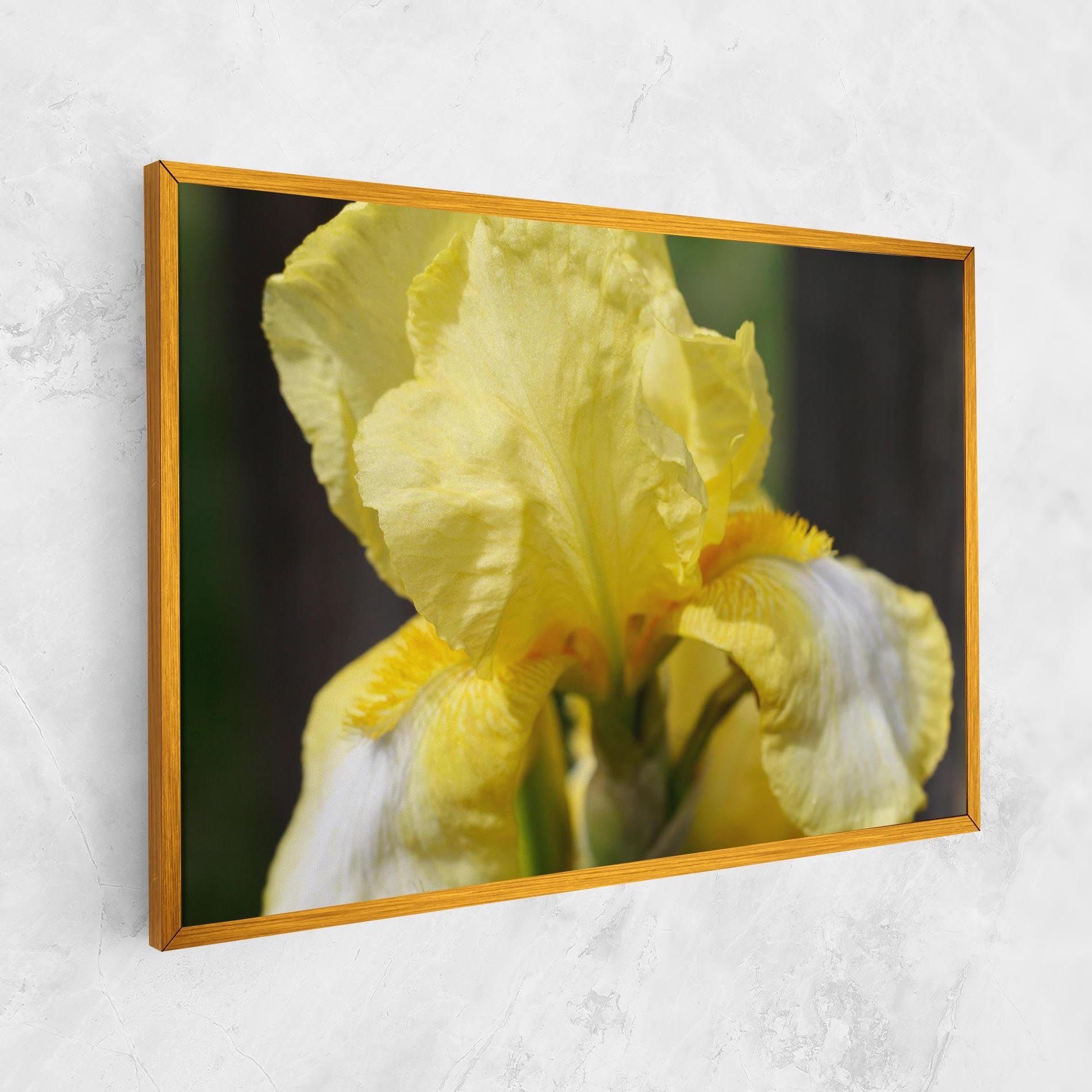 Garden Yellow Iris mockup 1
