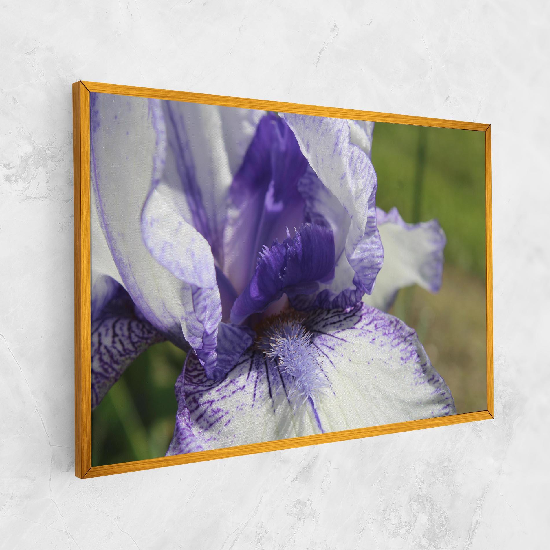 Tablou Canvas White Purple Iris mockup 1