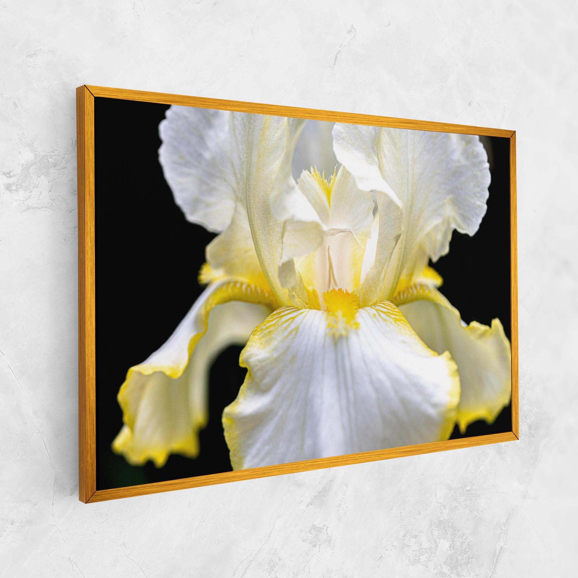 Tablou Canvas White Yellow Iris mockup 1