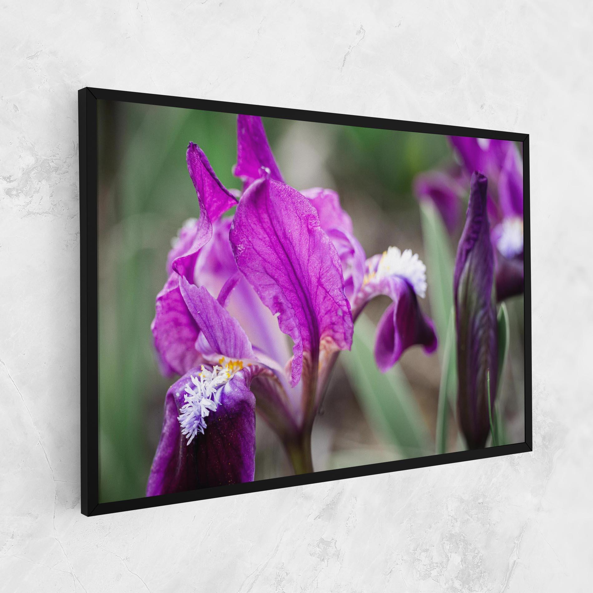 Tablou Canvas Dark Pink Iris mockup 1