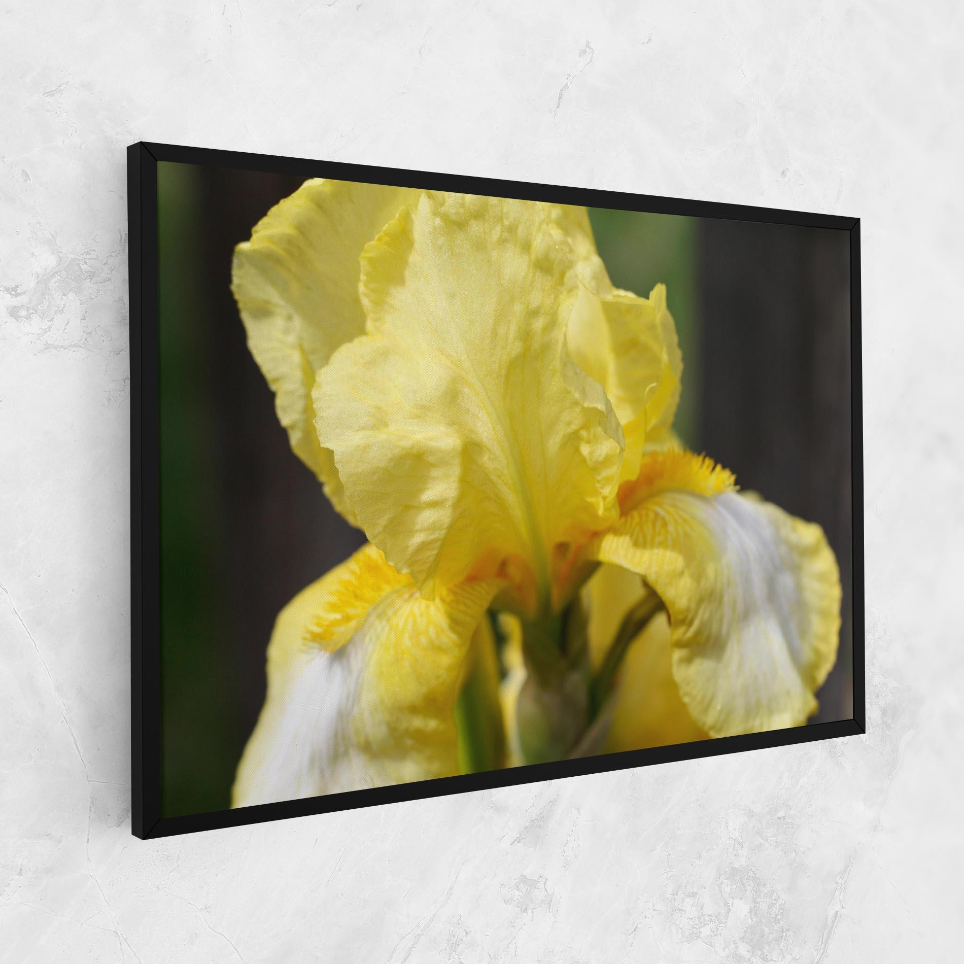 Tablou Canvas Garden Yellow Iris mockup 1