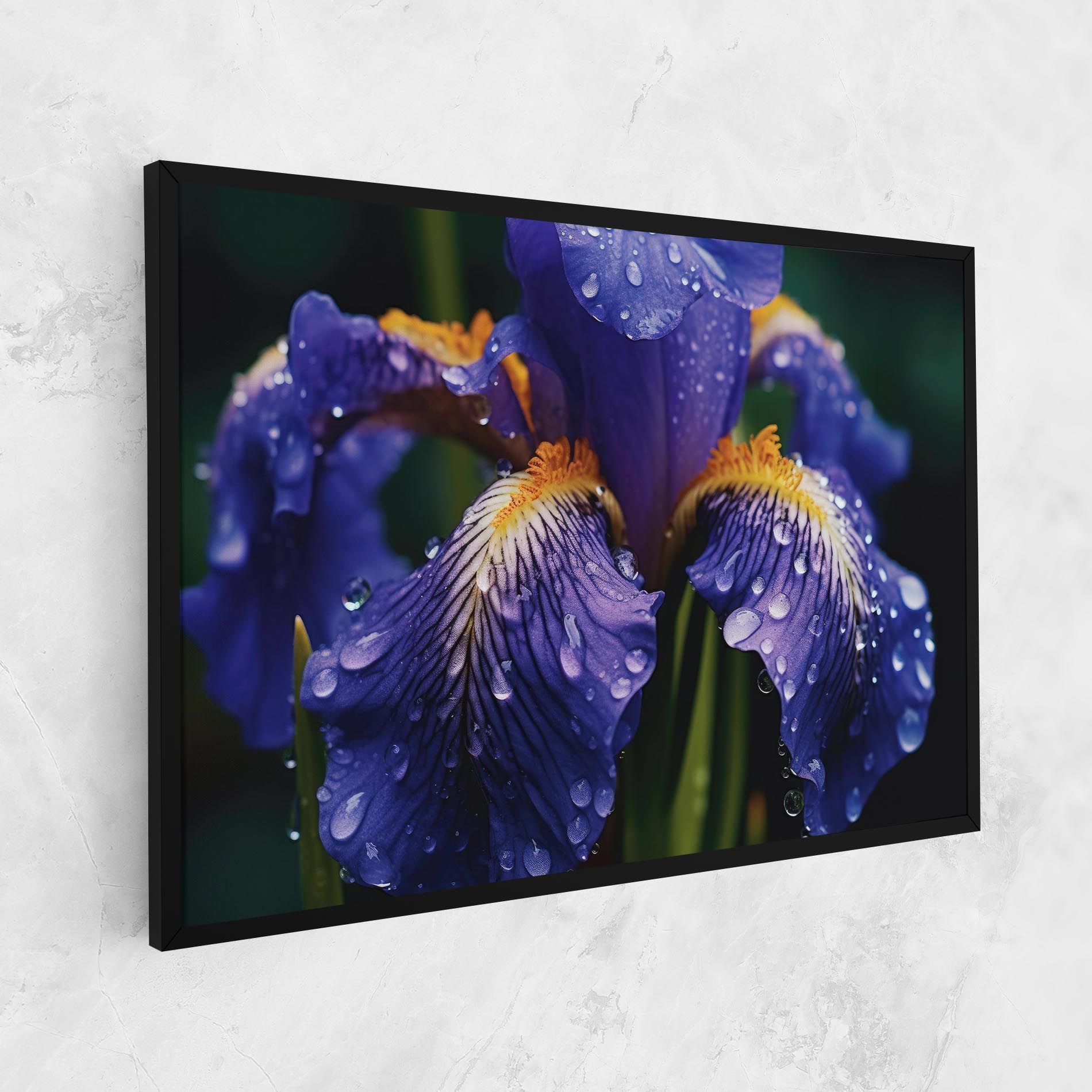 Iris After Rain mockup 1