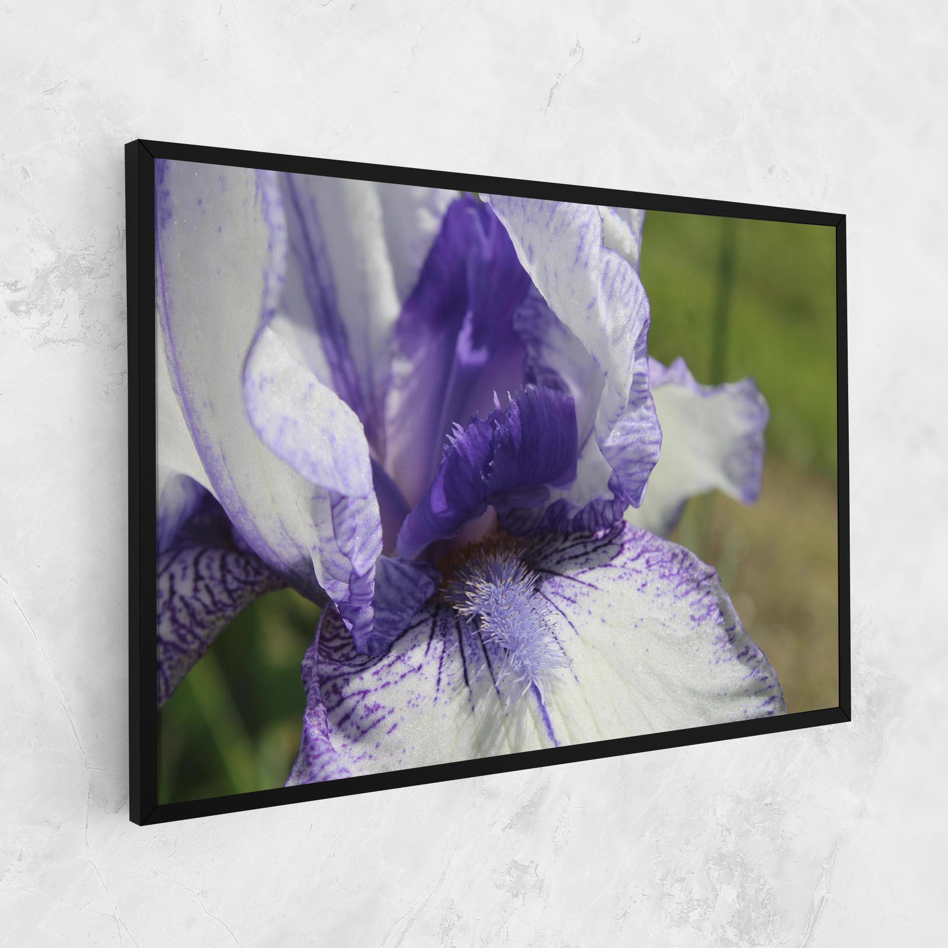Tablou Canvas White Purple Iris mockup 1