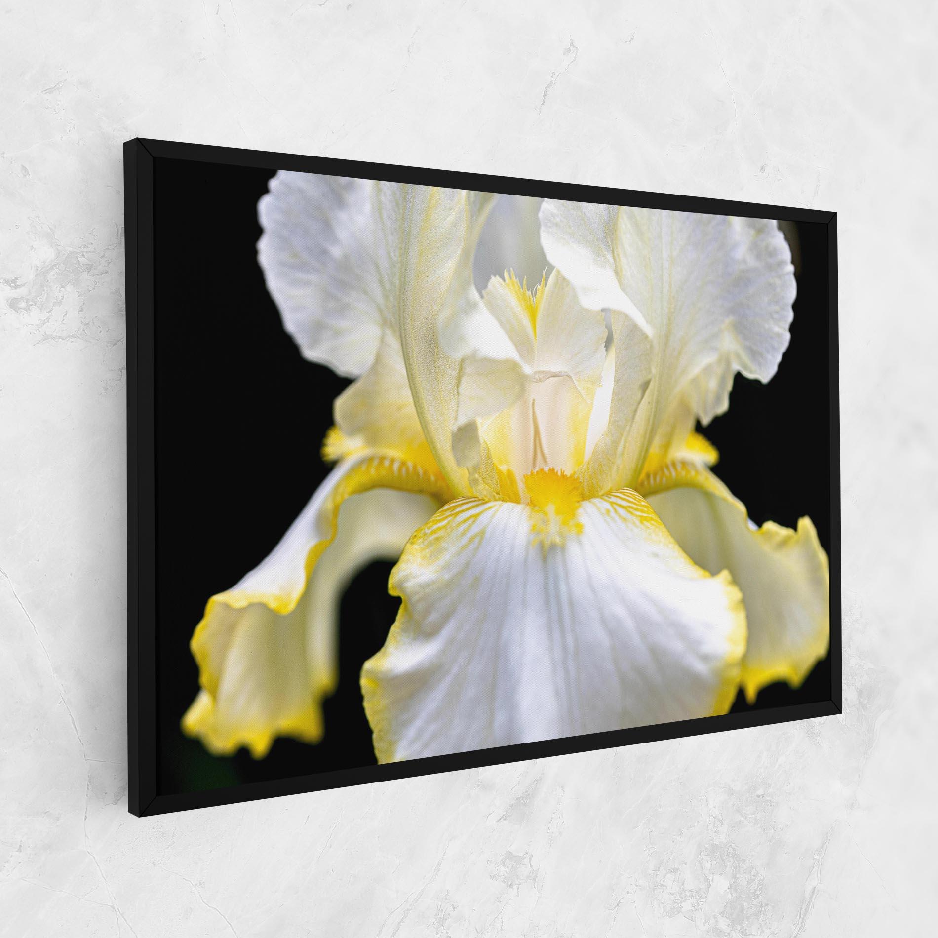 Tablou Canvas White Yellow Iris mockup 1