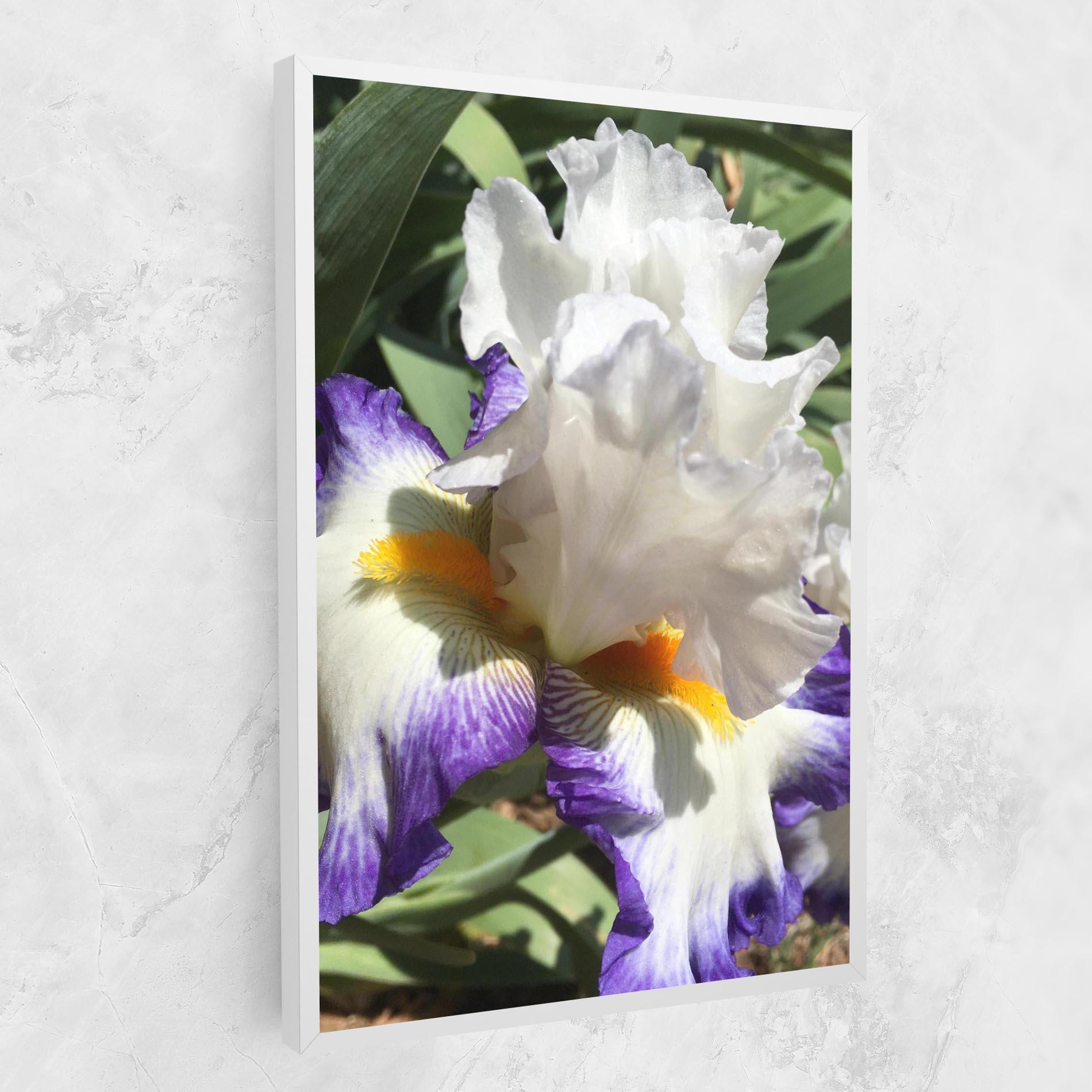 Tablou Canvas Garden White Purple Irirs mockup 1