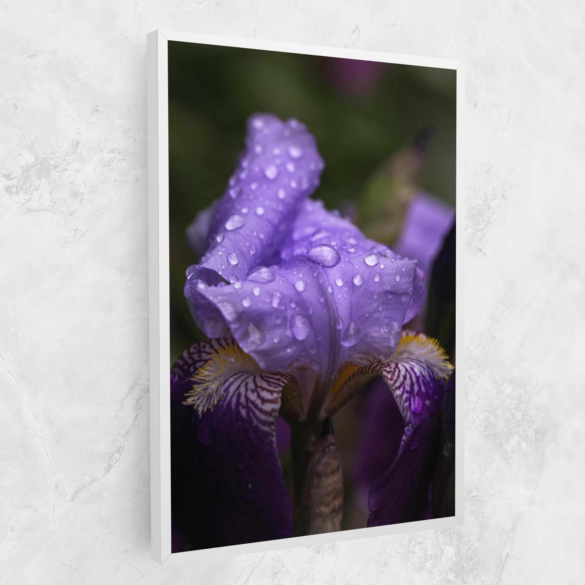 Rain In The Garden mockup 1