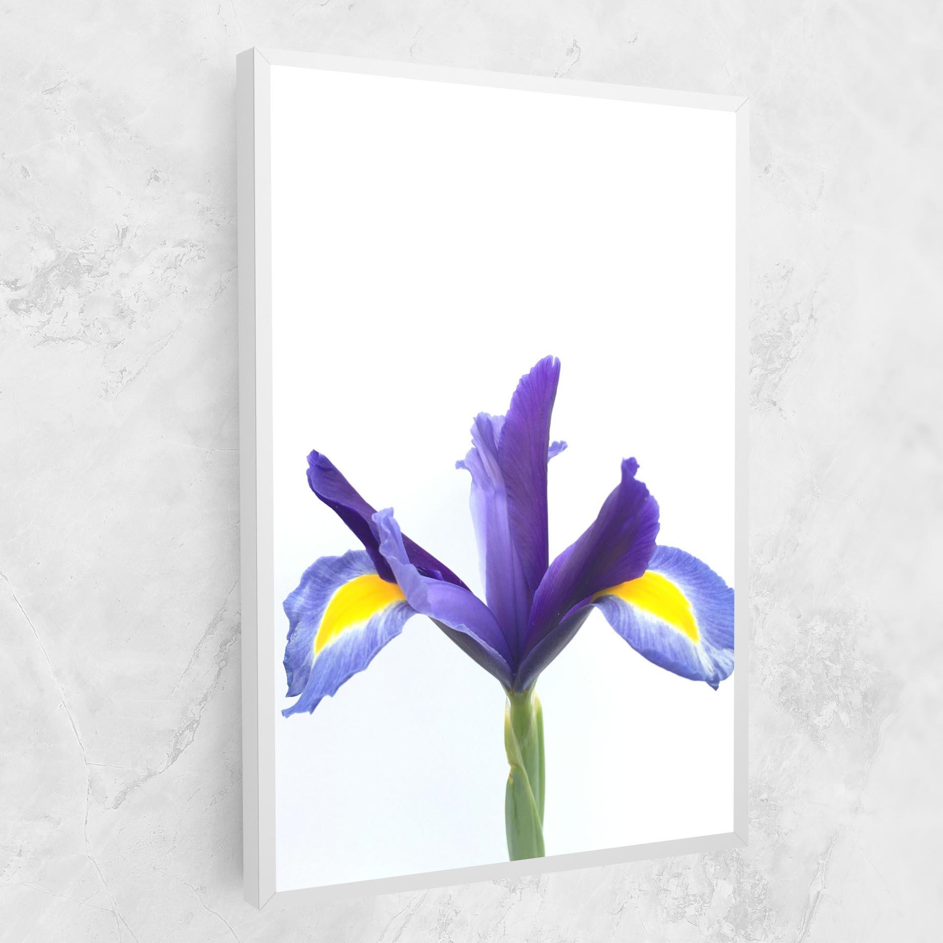 Tablou Canvas Yellow Color Iris mockup 1