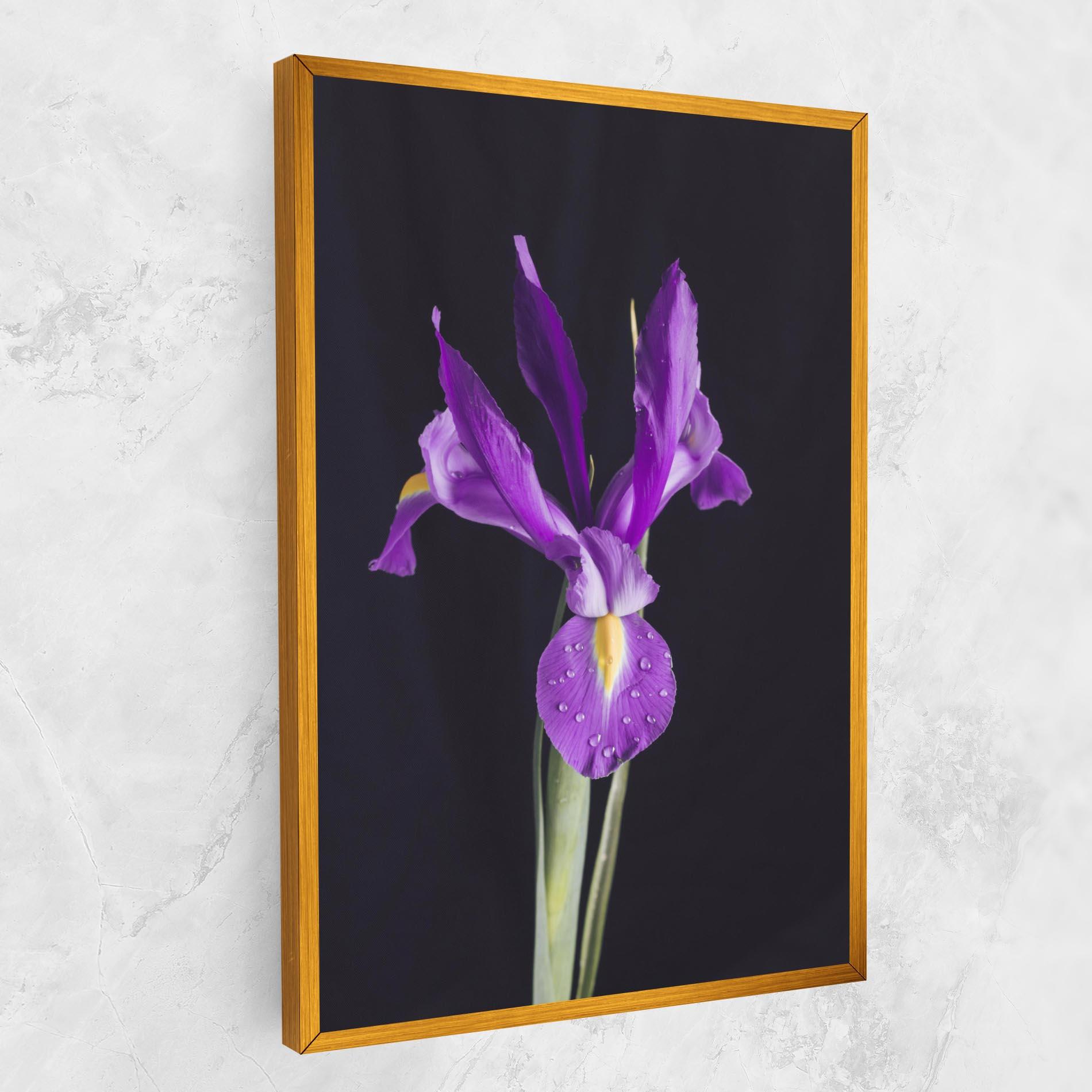Tablou Canvas Fresh Purple Iris mockup 1