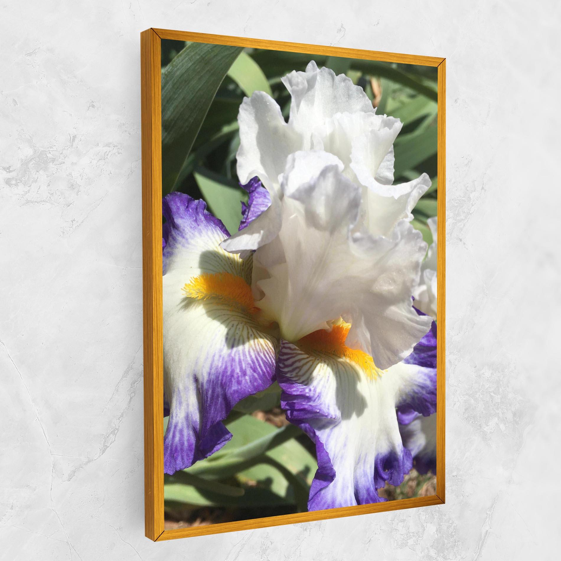 Tablou Canvas Garden White Purple Irirs mockup 1