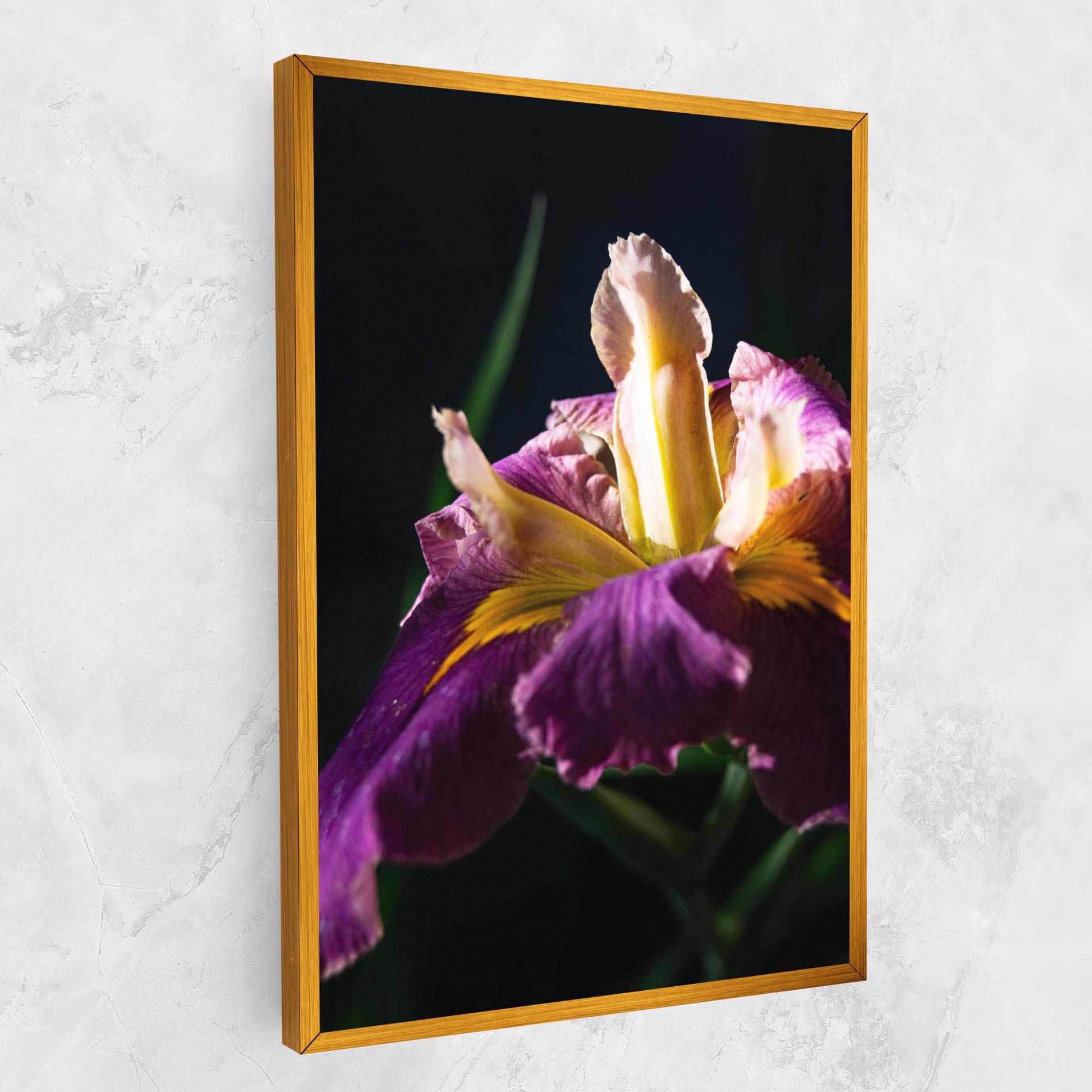 Tablou Canvas Pastel Yellow Iris mockup 1