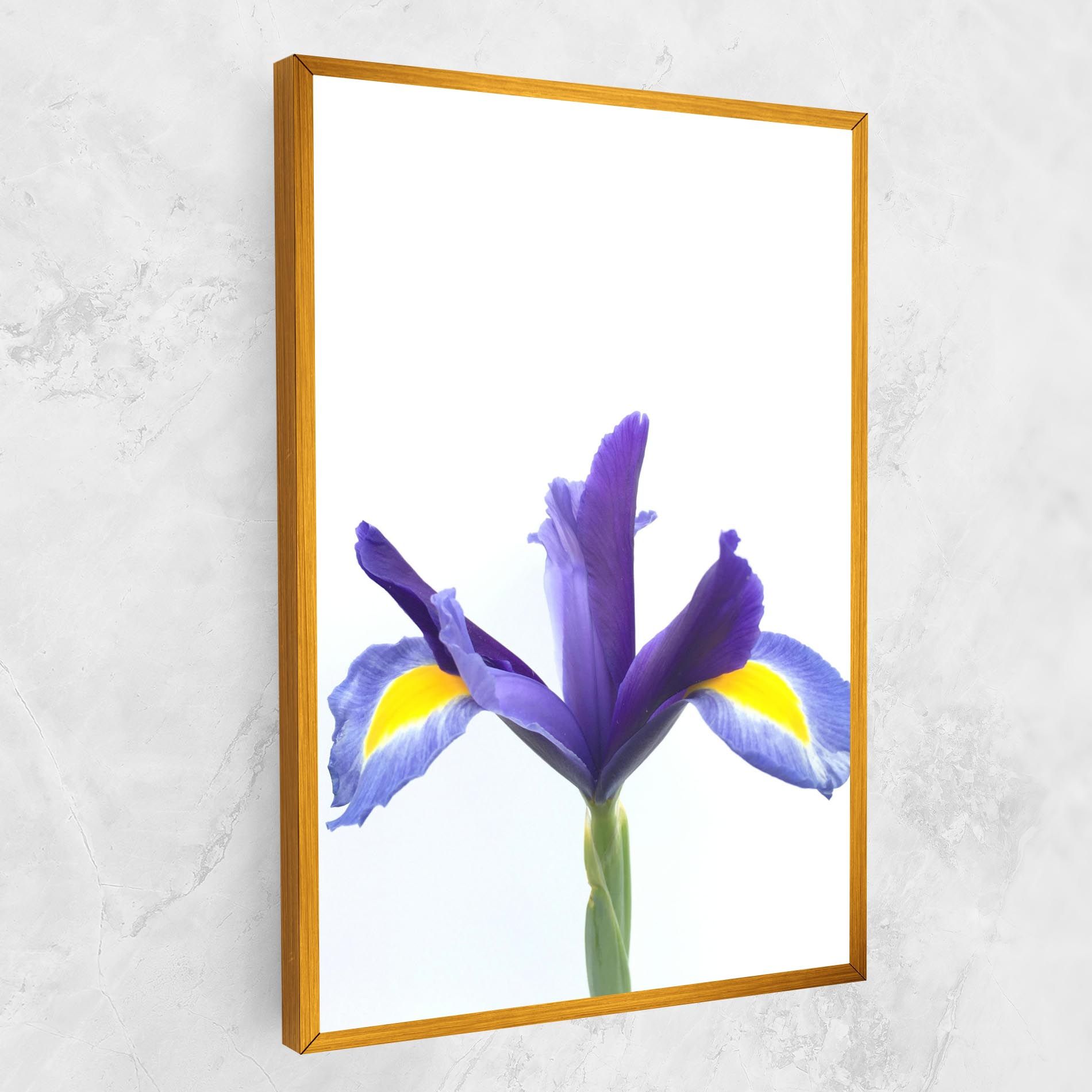 Yellow Color Iris mockup 1