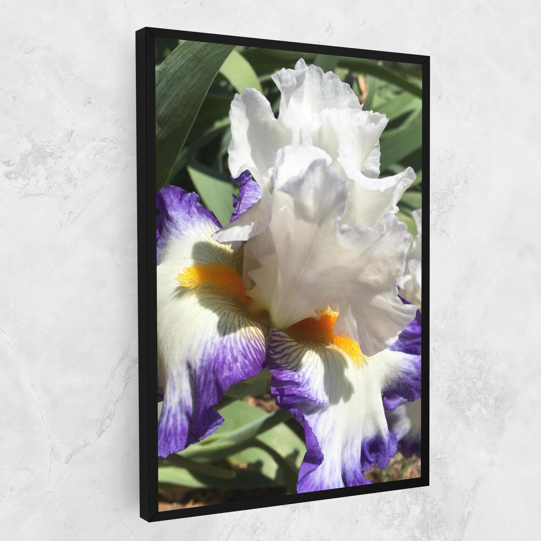 Tablou Canvas Garden White Purple Irirs mockup 1