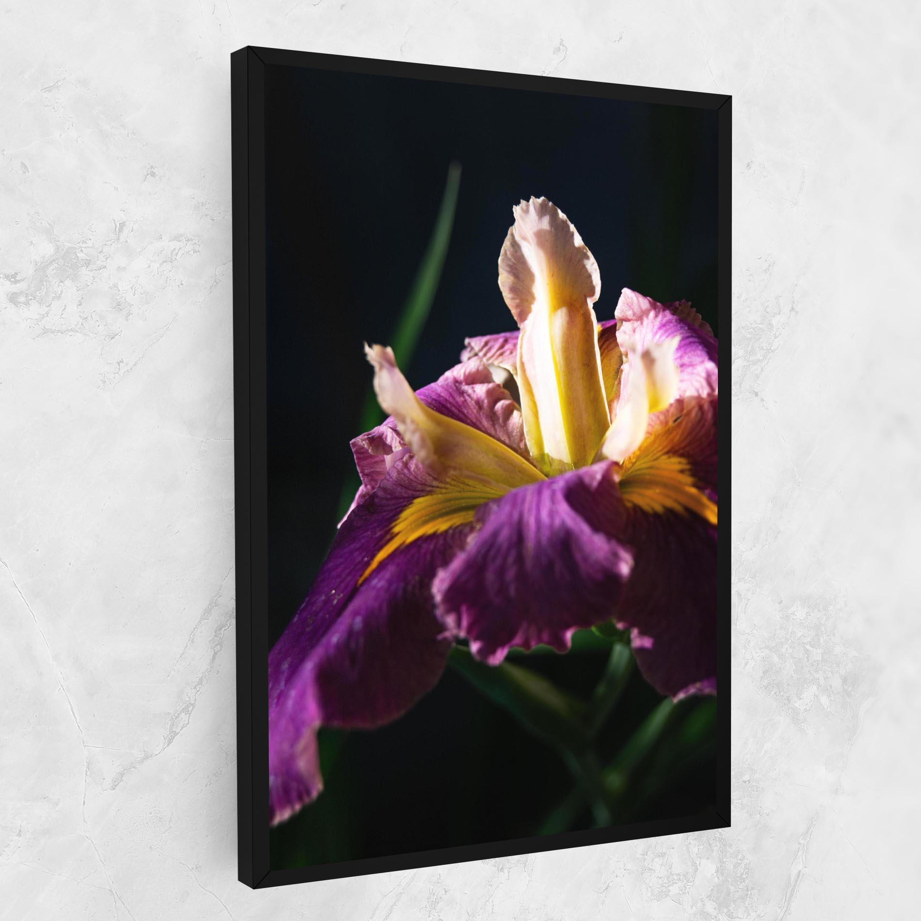 Tablou Canvas Pastel Yellow Iris mockup 1