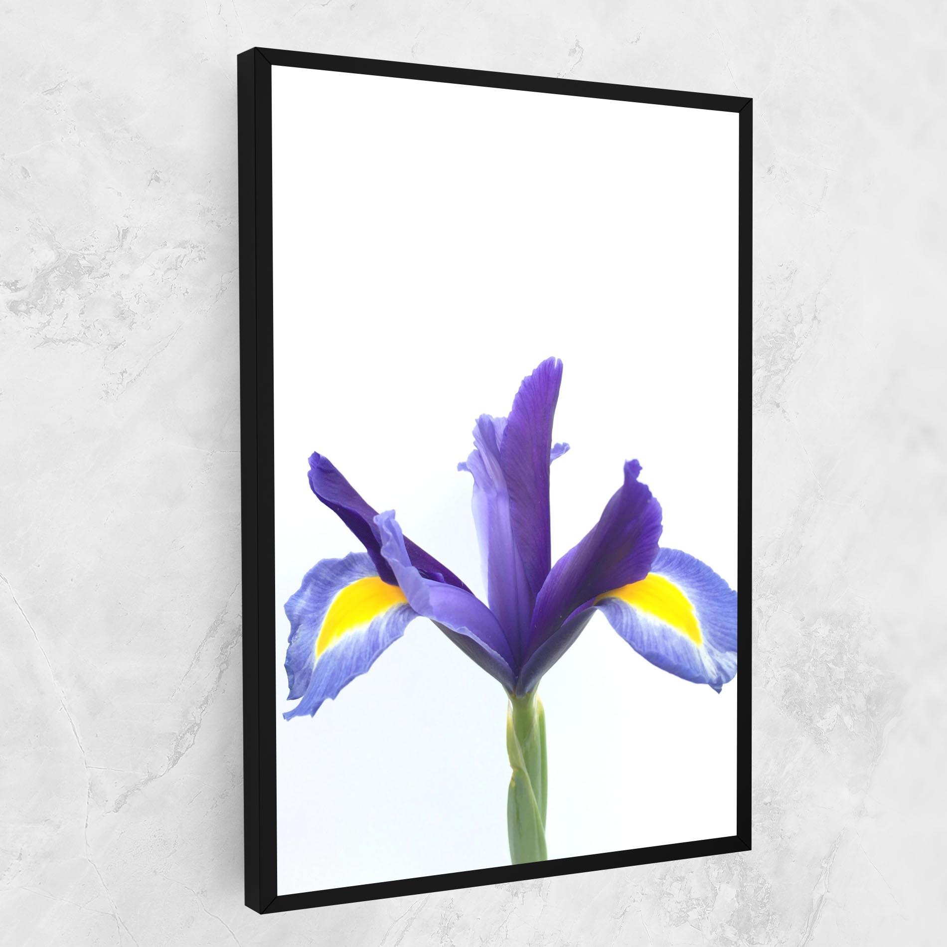 Tablou Canvas Yellow Color Iris mockup 1