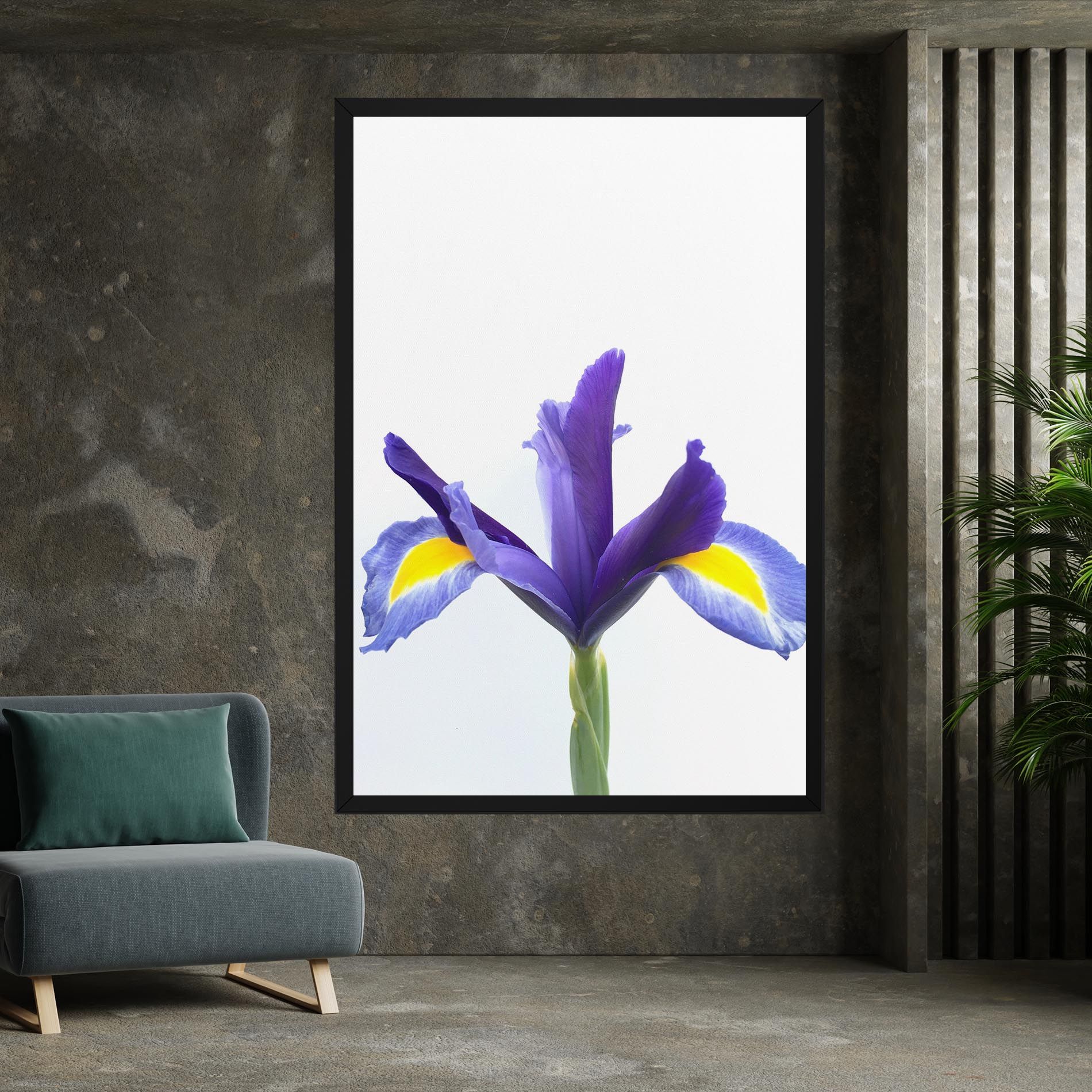 Yellow Color Iris mockup 7