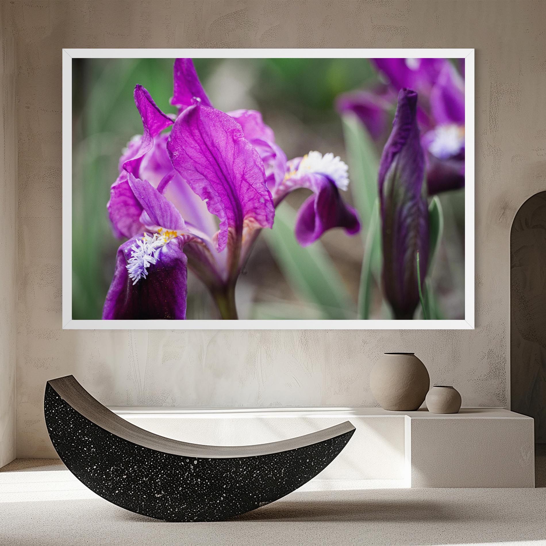 Dark Pink Iris mockup 8