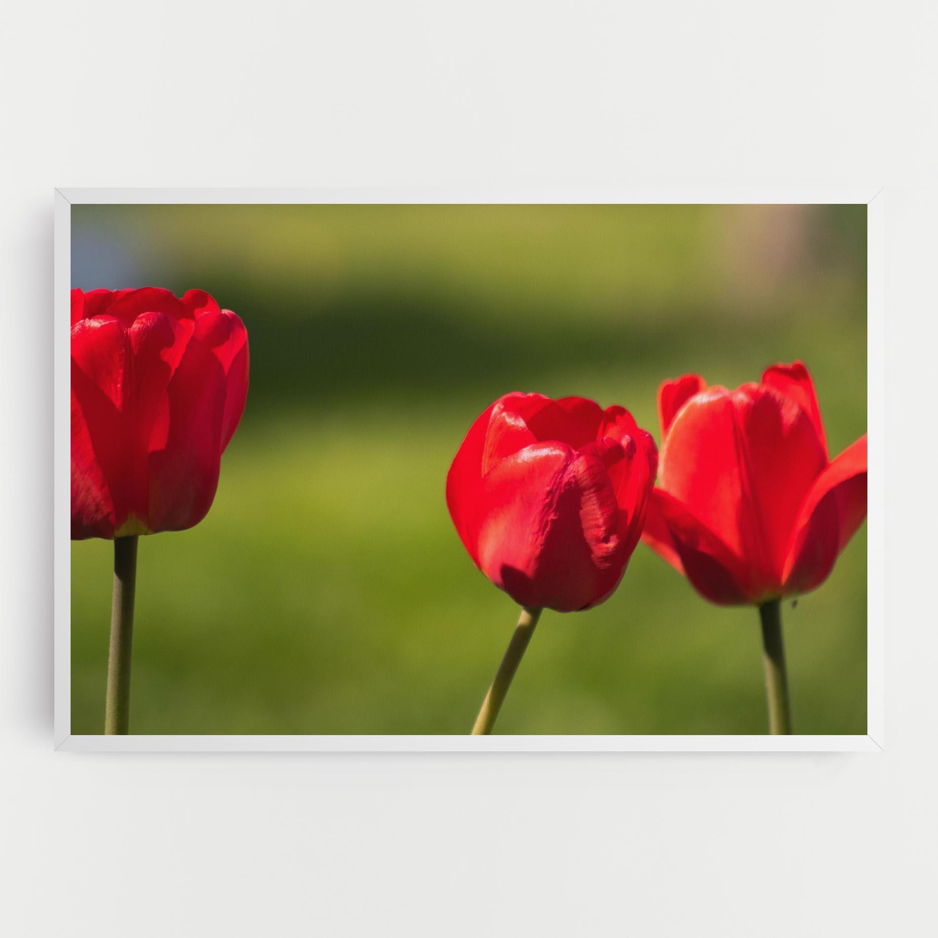 Tablou Canvas 3 Red Tulips mockup 0