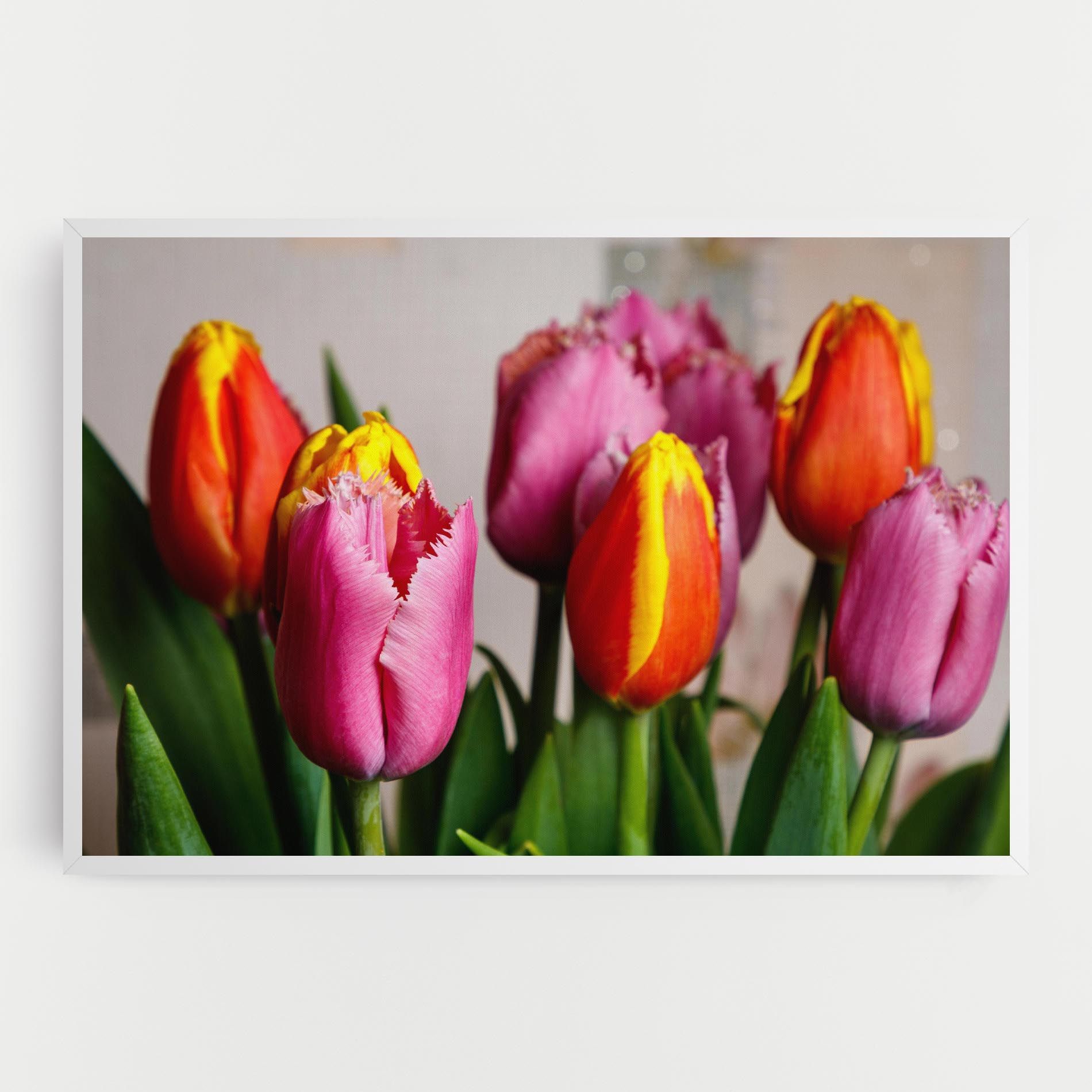 Pink Orange Tulips mockup 0