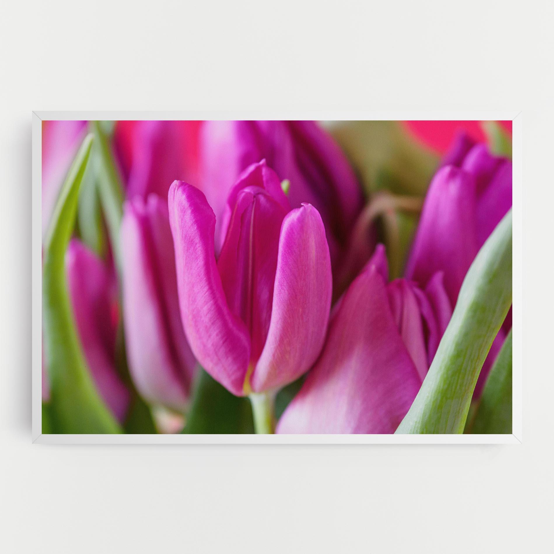 Tablou Canvas Purple Tulip Close Up mockup 0