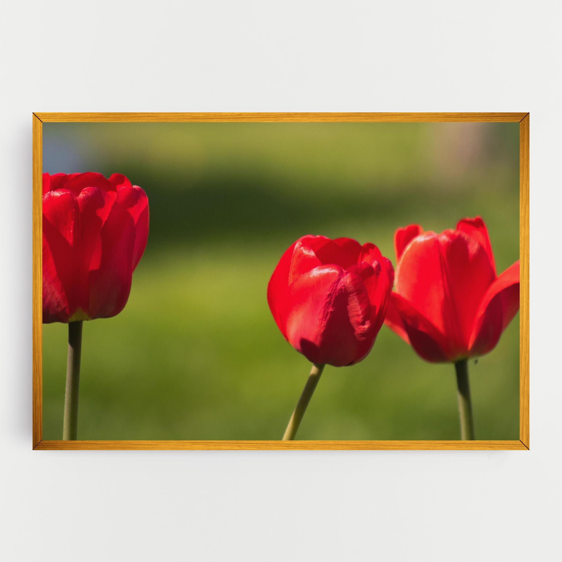 Tablou Canvas 3 Red Tulips mockup 0