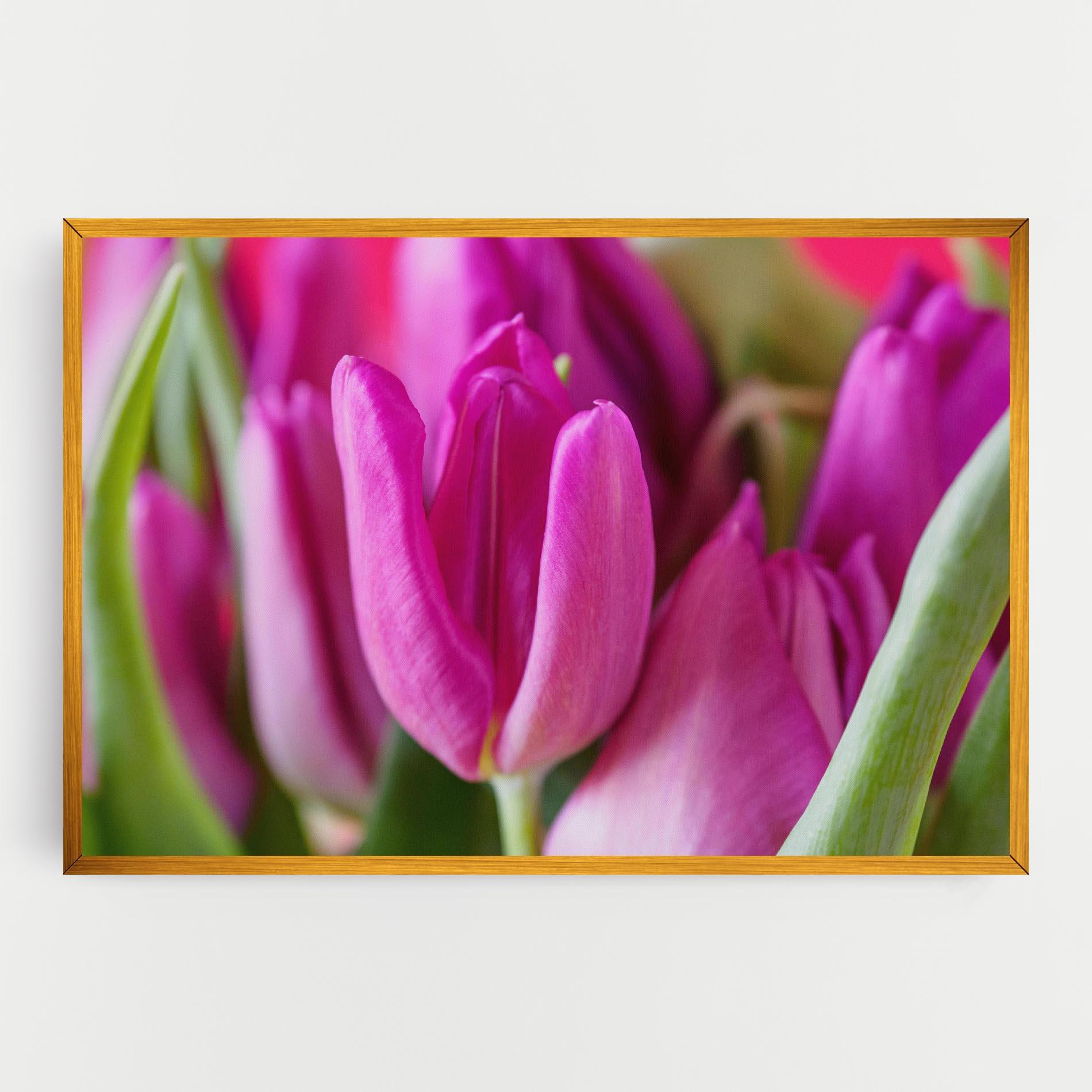 Tablou Canvas Purple Tulip Close Up mockup 0