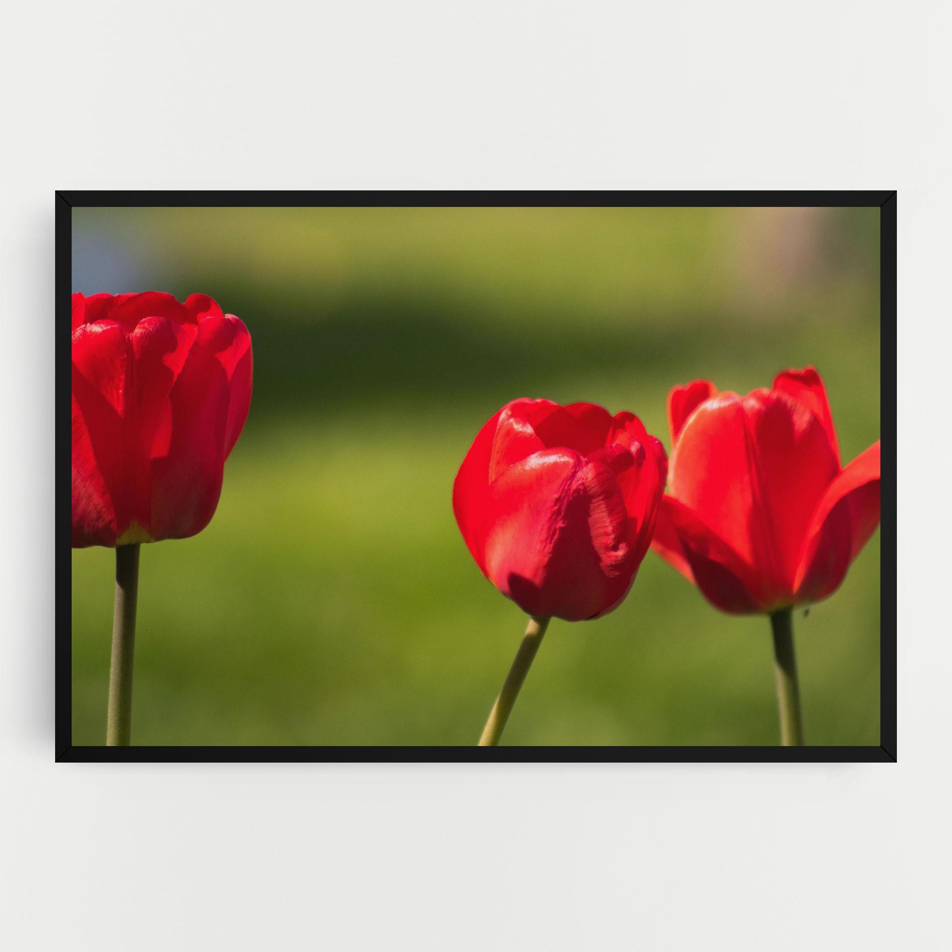 Tablou Canvas 3 Red Tulips mockup 0
