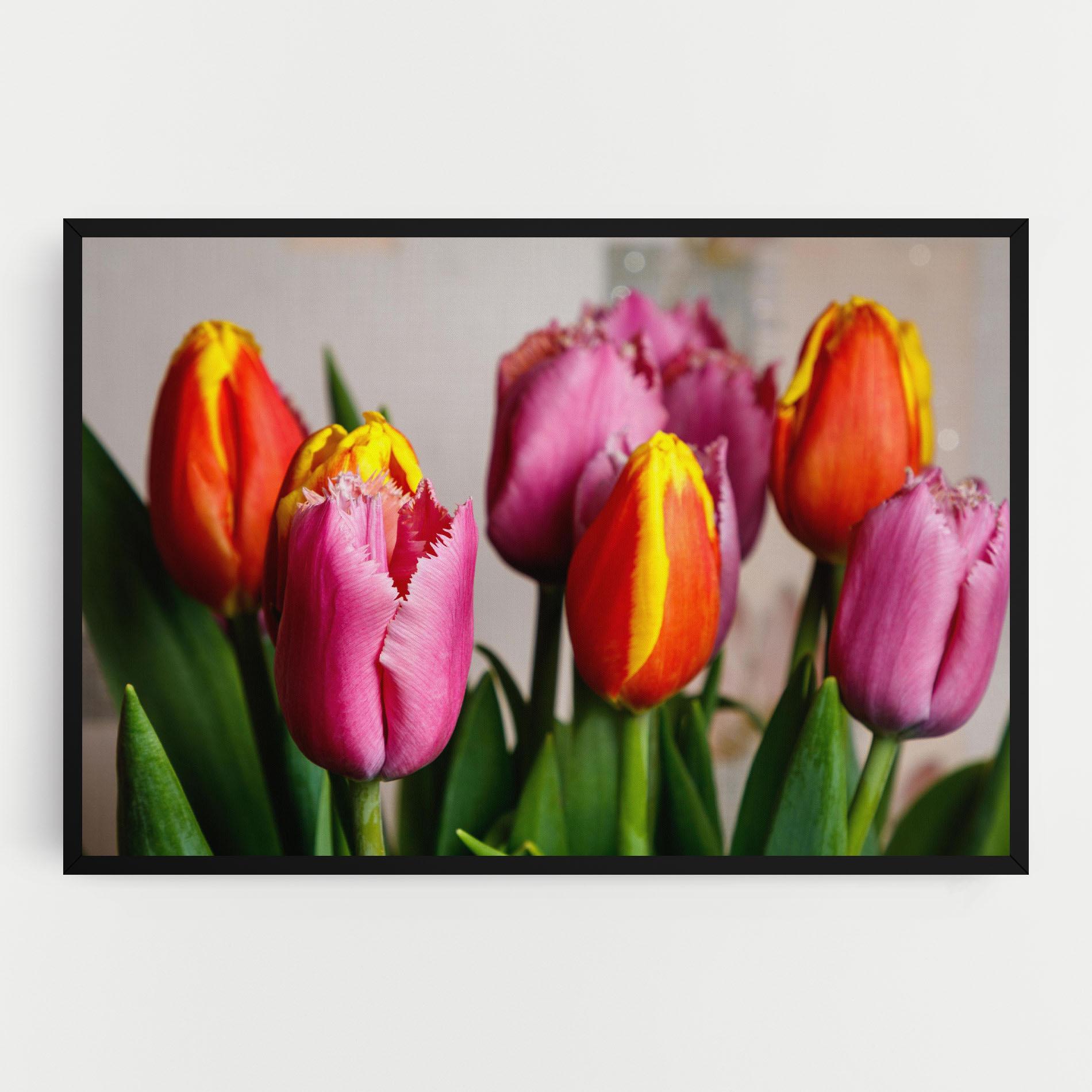 Tablou Canvas Pink Orange Tulips mockup 0