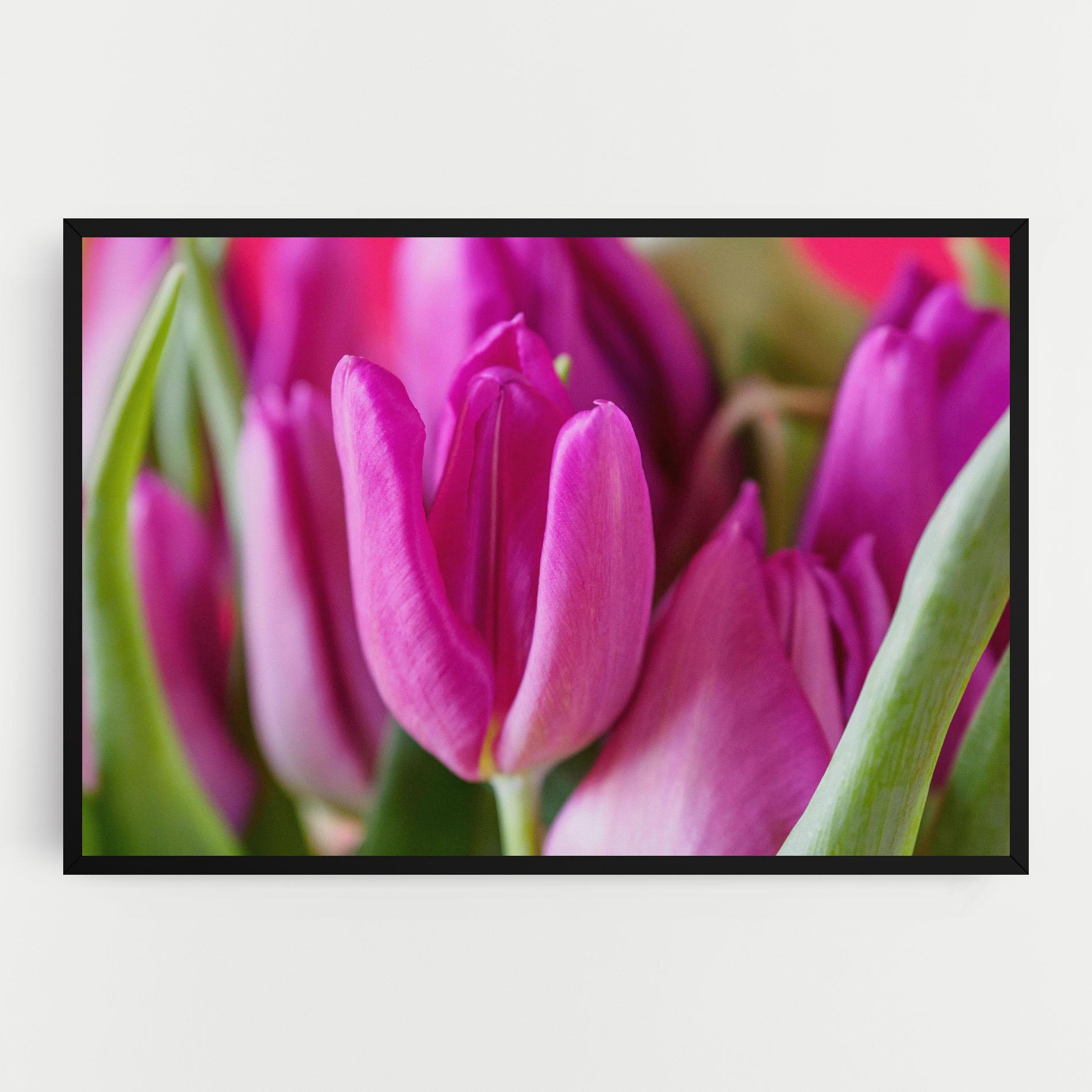 Tablou Canvas Purple Tulip Close Up mockup 0