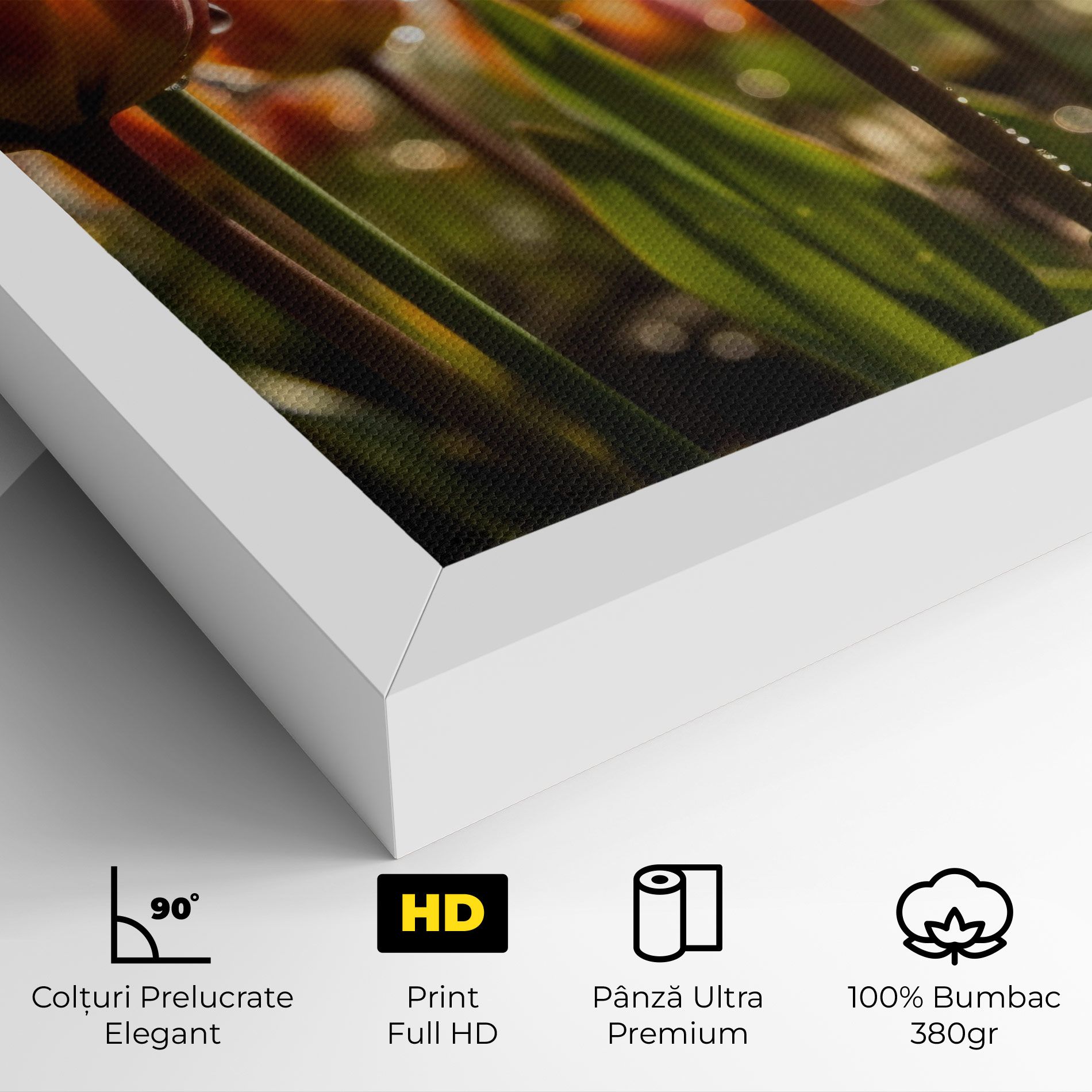 Orange Tulips After Rain mockup 4